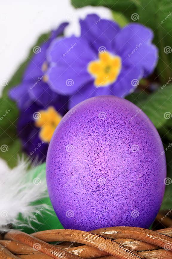 Purple Easter Egg and Flowers Stock Image Image of decoration, easter