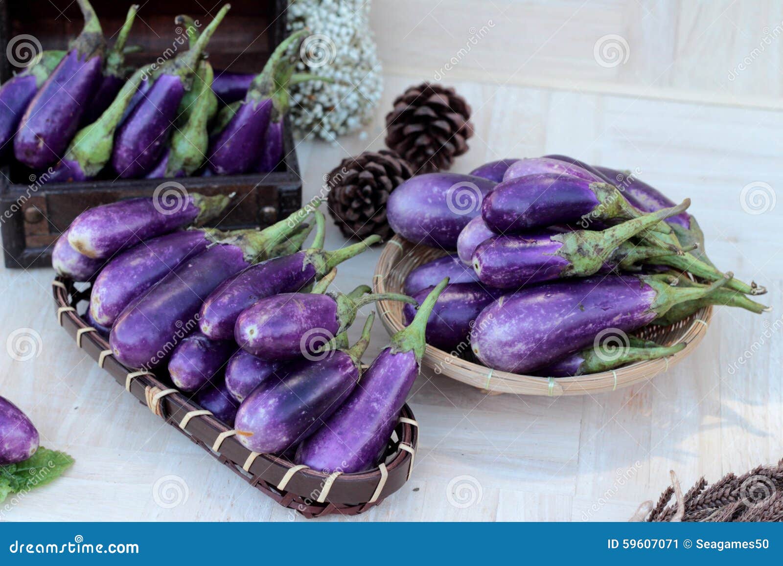 Purple Eggplants Fresh for Cooking on Wood Background. Stock Image