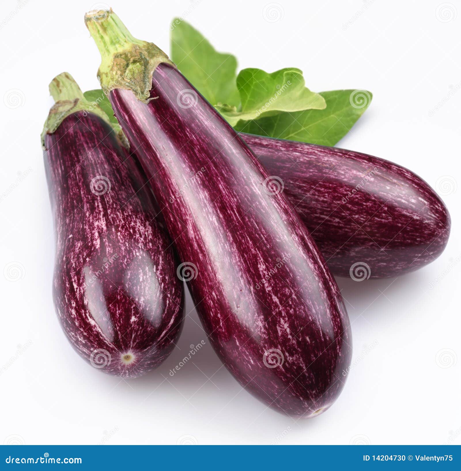 Purple Eggplants with Leaves Stock Photo Image of eggplant, isolated 14204730