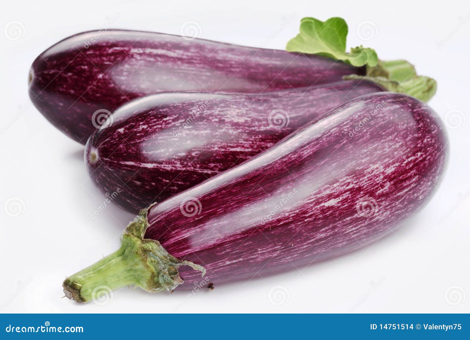 Purple Eggplants with Leaves Stock Photo Image of ingredient