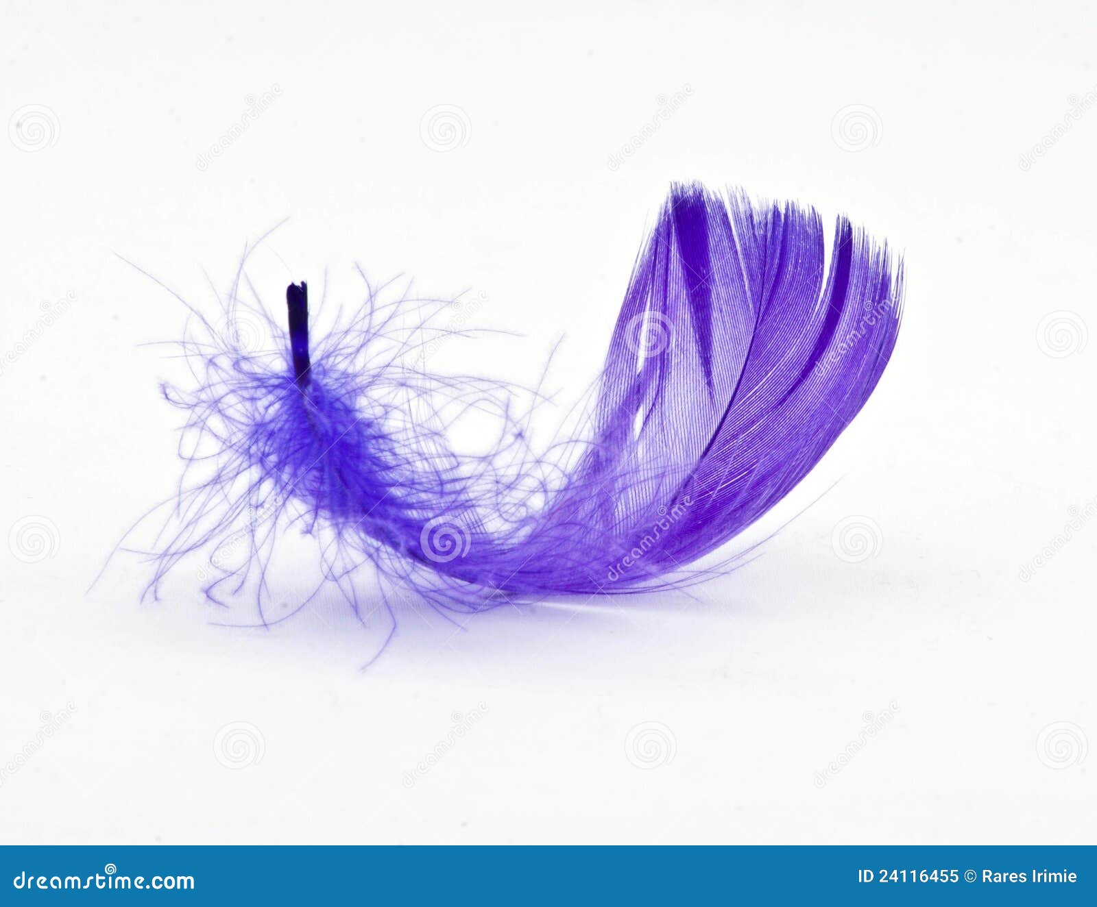 Purple Feathers Stock Photo by ©MichaelFitzsimmons 77429034