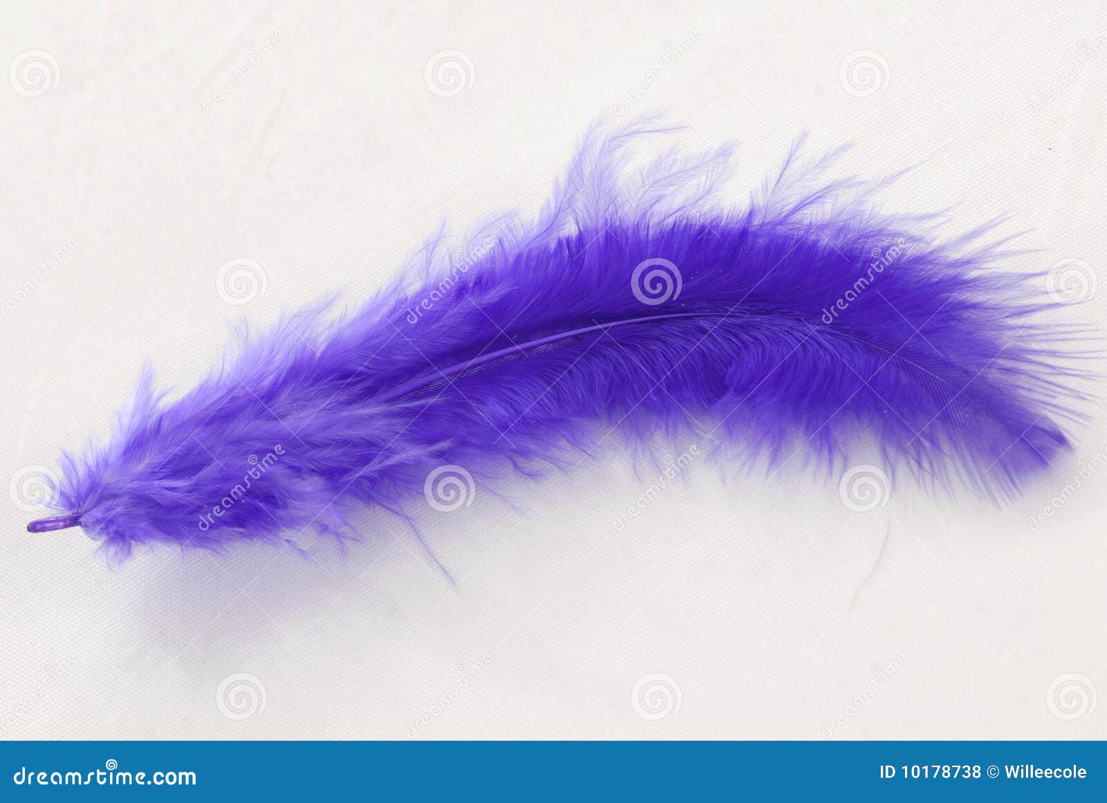 Purple Feathers Stock Photo by ©MichaelFitzsimmons 77597266