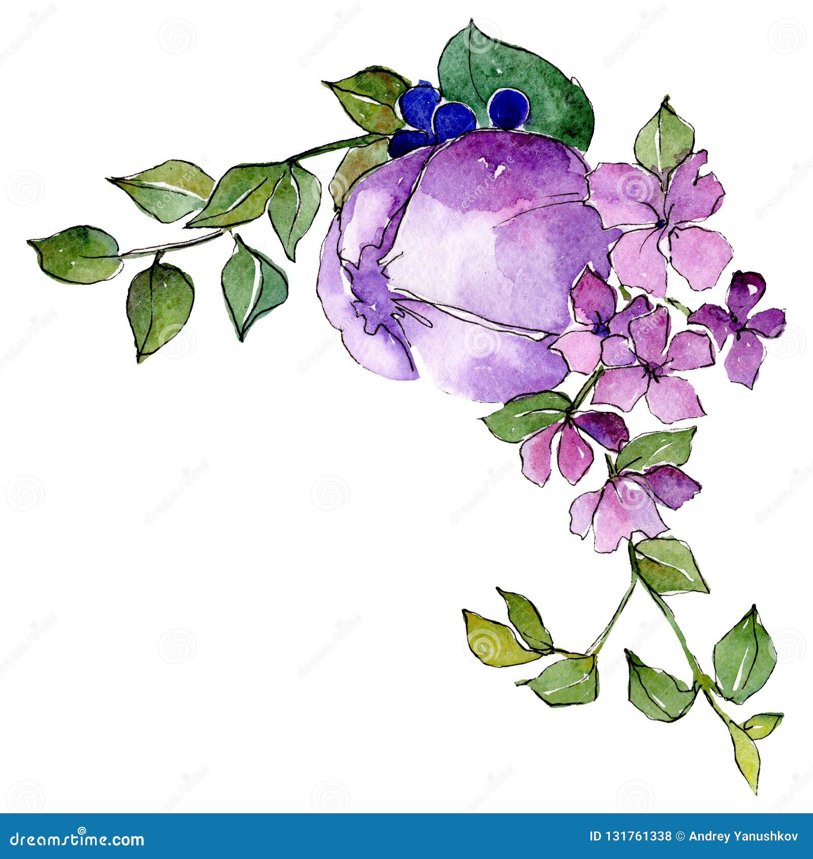 Purple Flowers Isolated Flower Illustration Element Background Set Watercolour Drawing Aquarelle Bouquet Stock Illustration Illustration Of Silhouette Flora