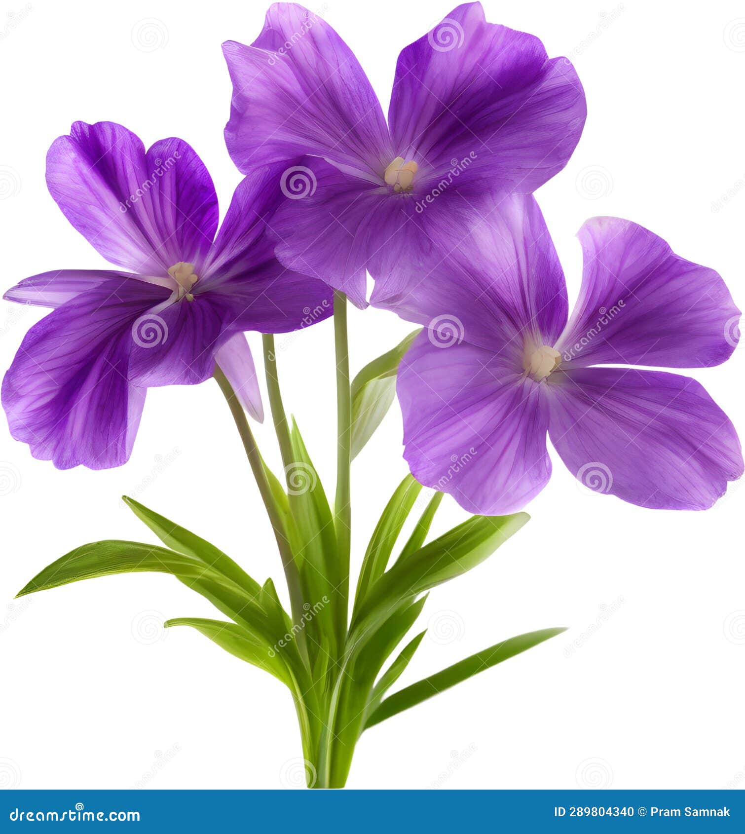 purple flowers lorem ipsum dolor sit amet. ai- generated