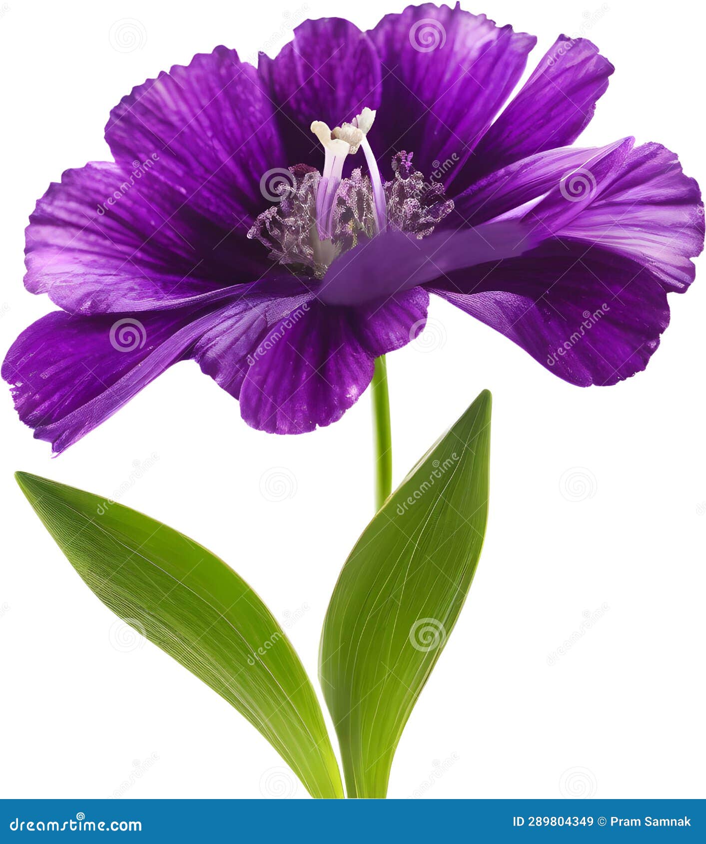 purple flowers lorem ipsum dolor sit amet. ai- generated