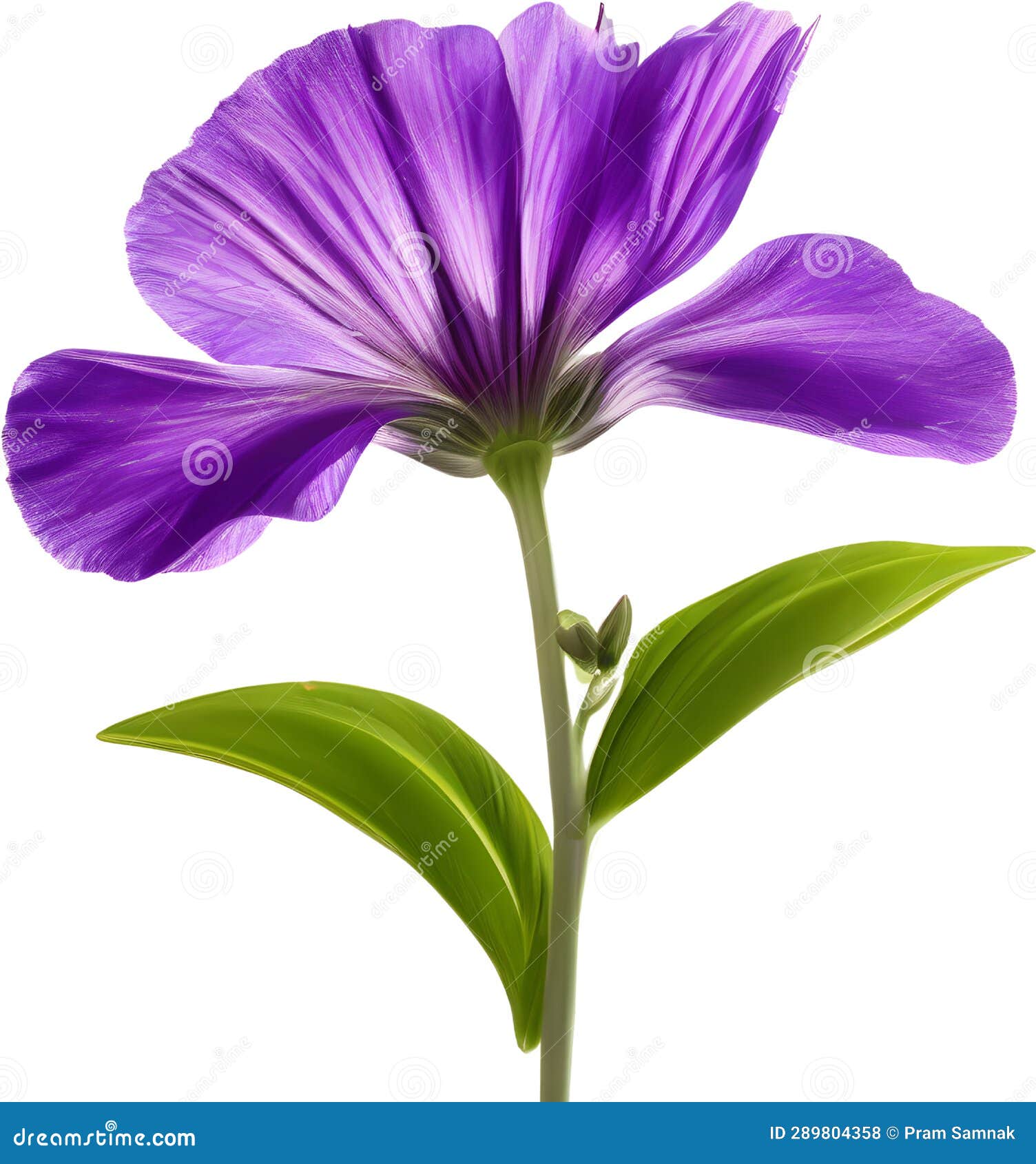 purple flowers lorem ipsum dolor sit amet. ai- generated