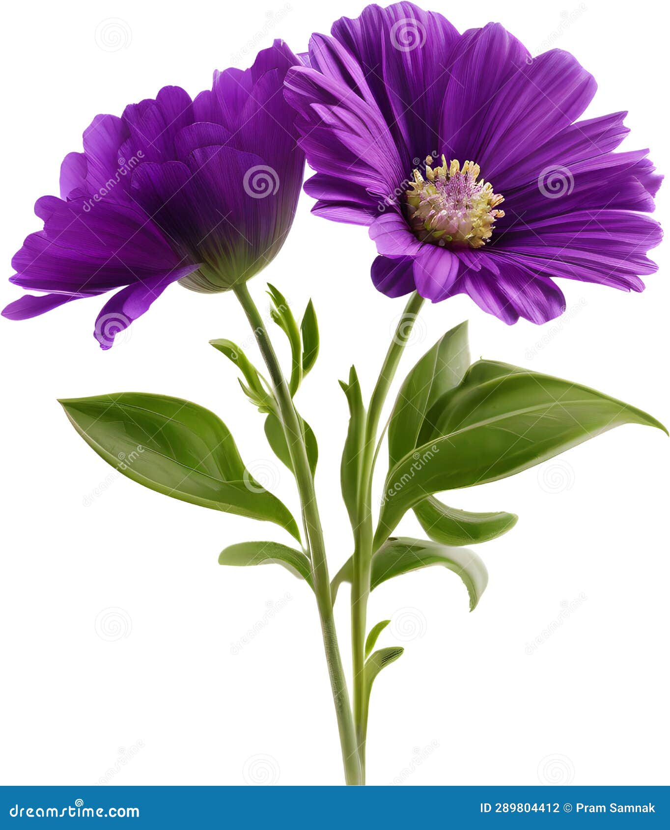 purple flowers lorem ipsum dolor sit amet. ai- generated