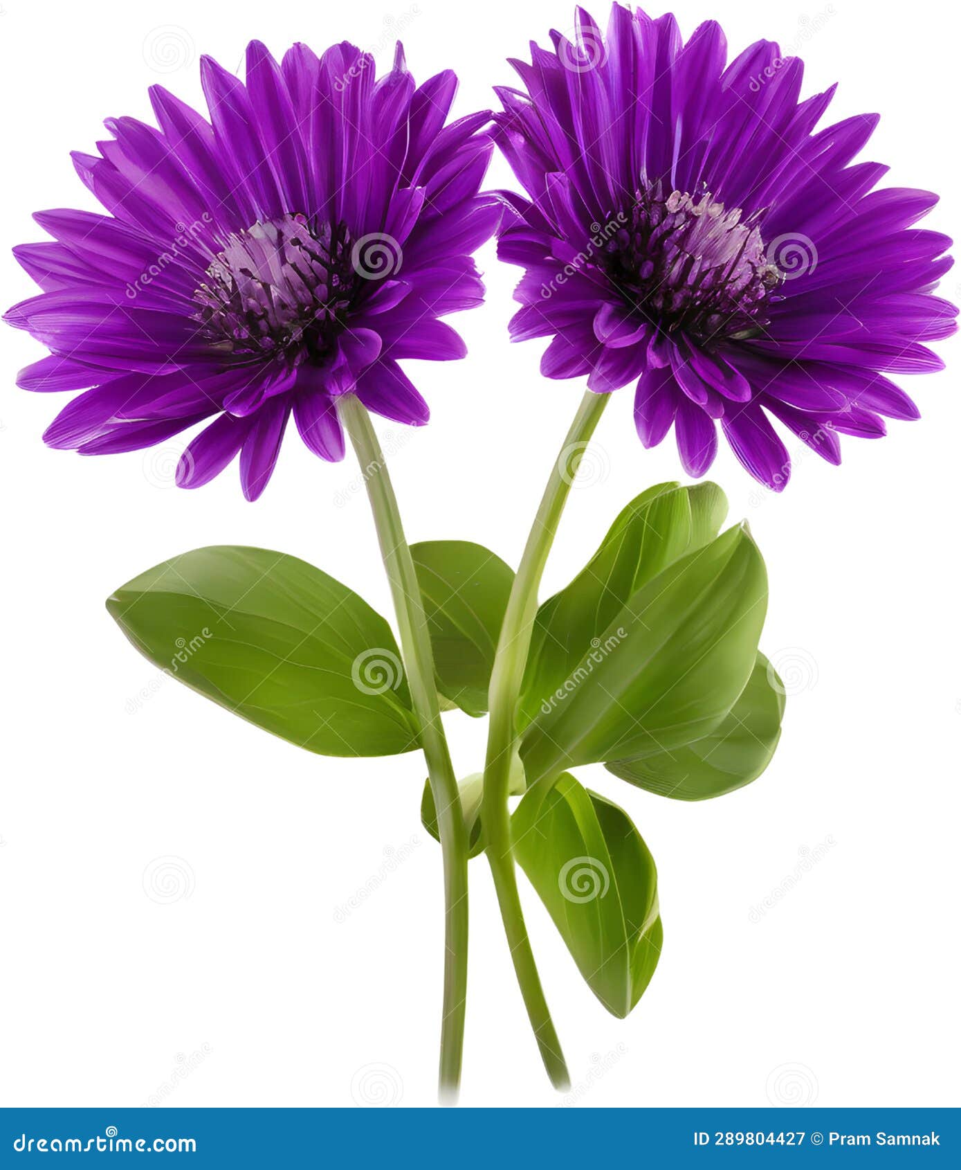 purple flowers lorem ipsum dolor sit amet. ai- generated