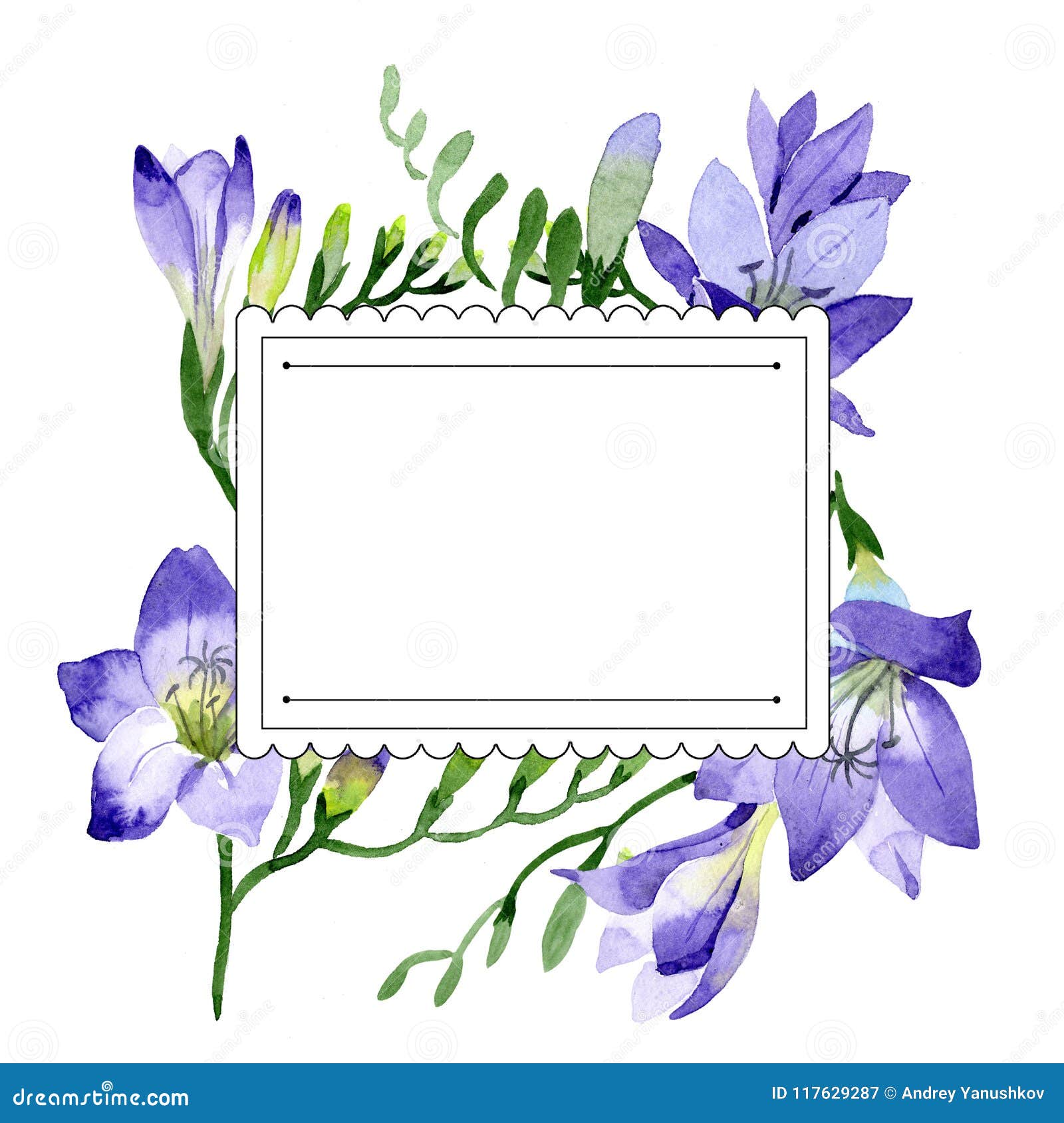 Purple Freesia. Floral Botanical Flower.Frame Border Ornament Square ...
