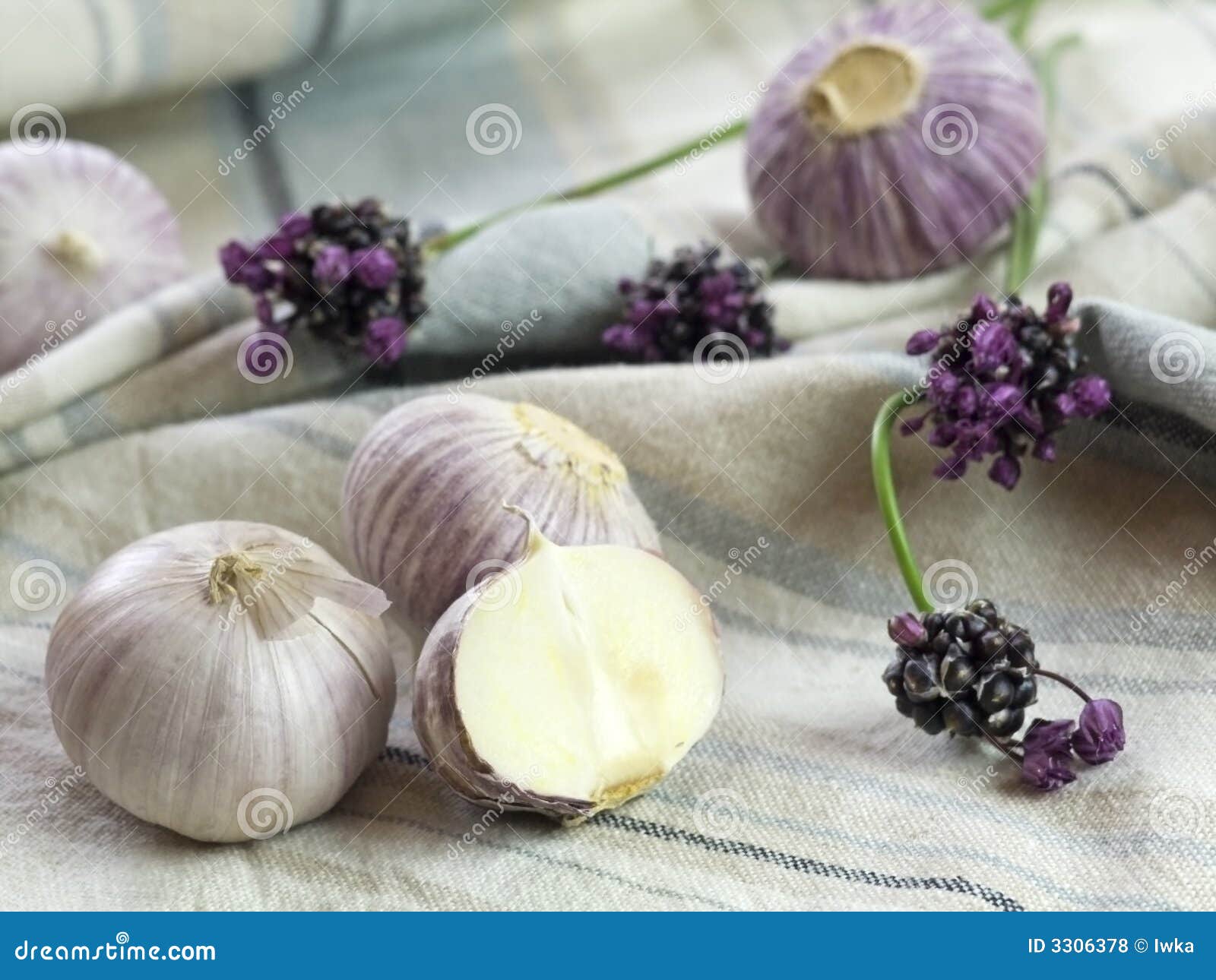 Purple Garlic stock photo. Image of bowl, flavour, garnish 3306378