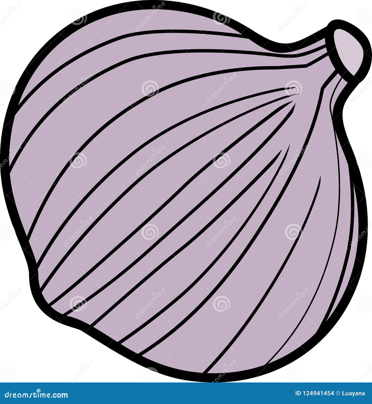 Purple Garlic Bulb on White Background Stock Vector Illustration of