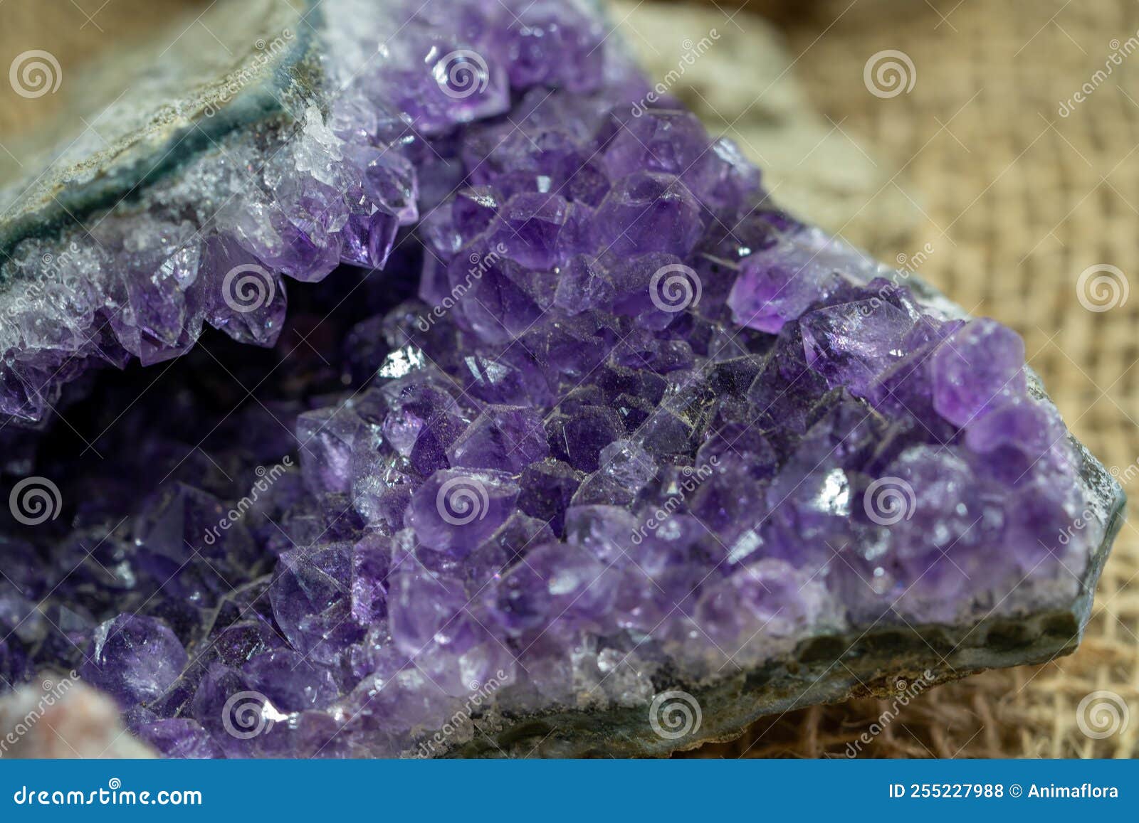Purple Gem Amethyst Mineral Clear Quartz Gem Stone Stock Photo - Image ...