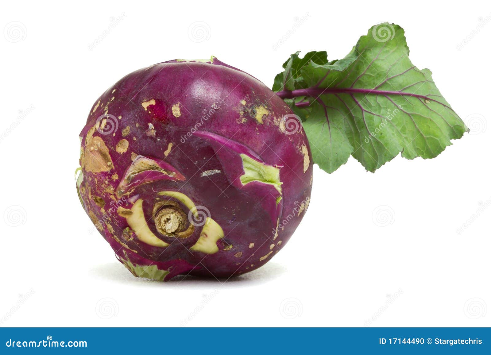 Purple German Turnip stock photo. Image of close, swede 17144490