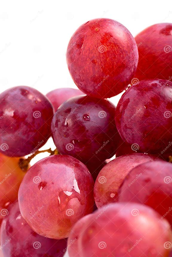 Purple grape fruit stock image. Image of isolated, fresh 16163503