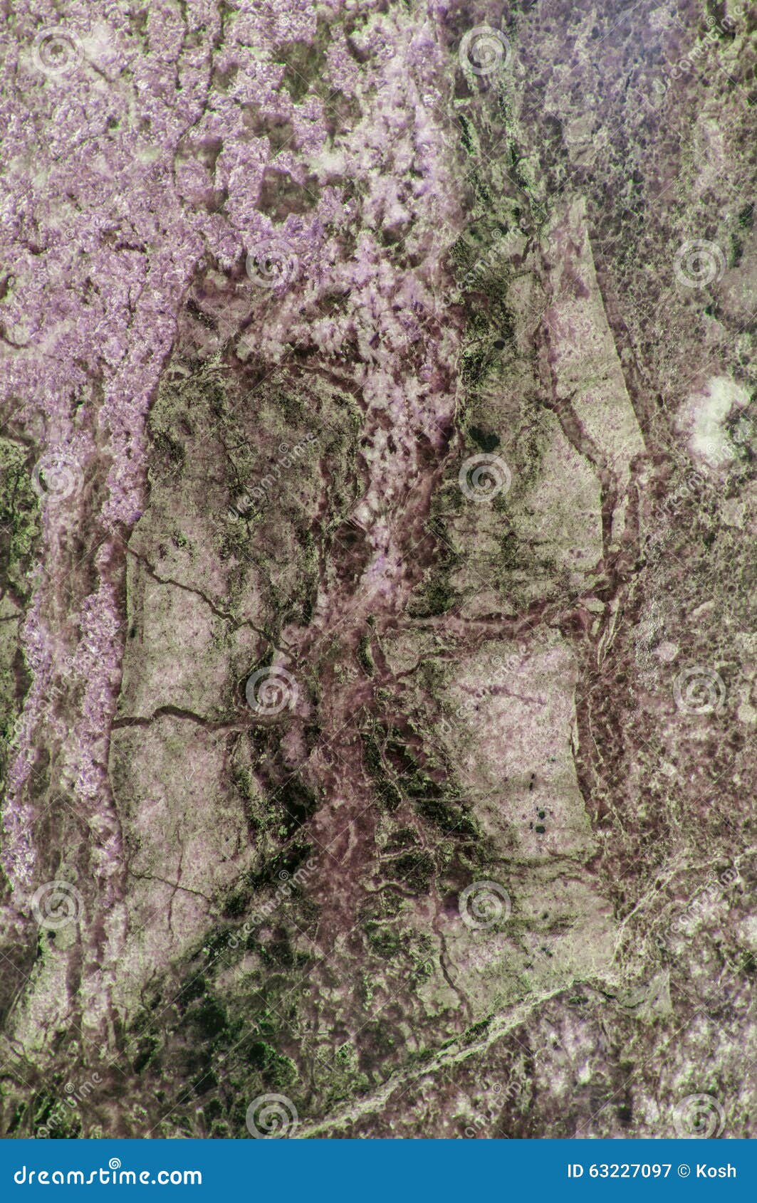 Purple and Green Marble Granite Stone Slab Surface Stock Image Image