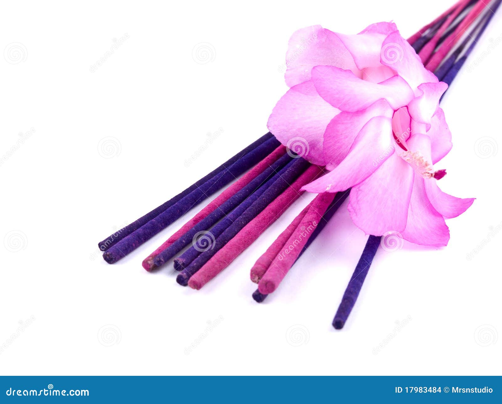 Purple Incense And Pink Cactus Flower Stock Photo Image of aroma