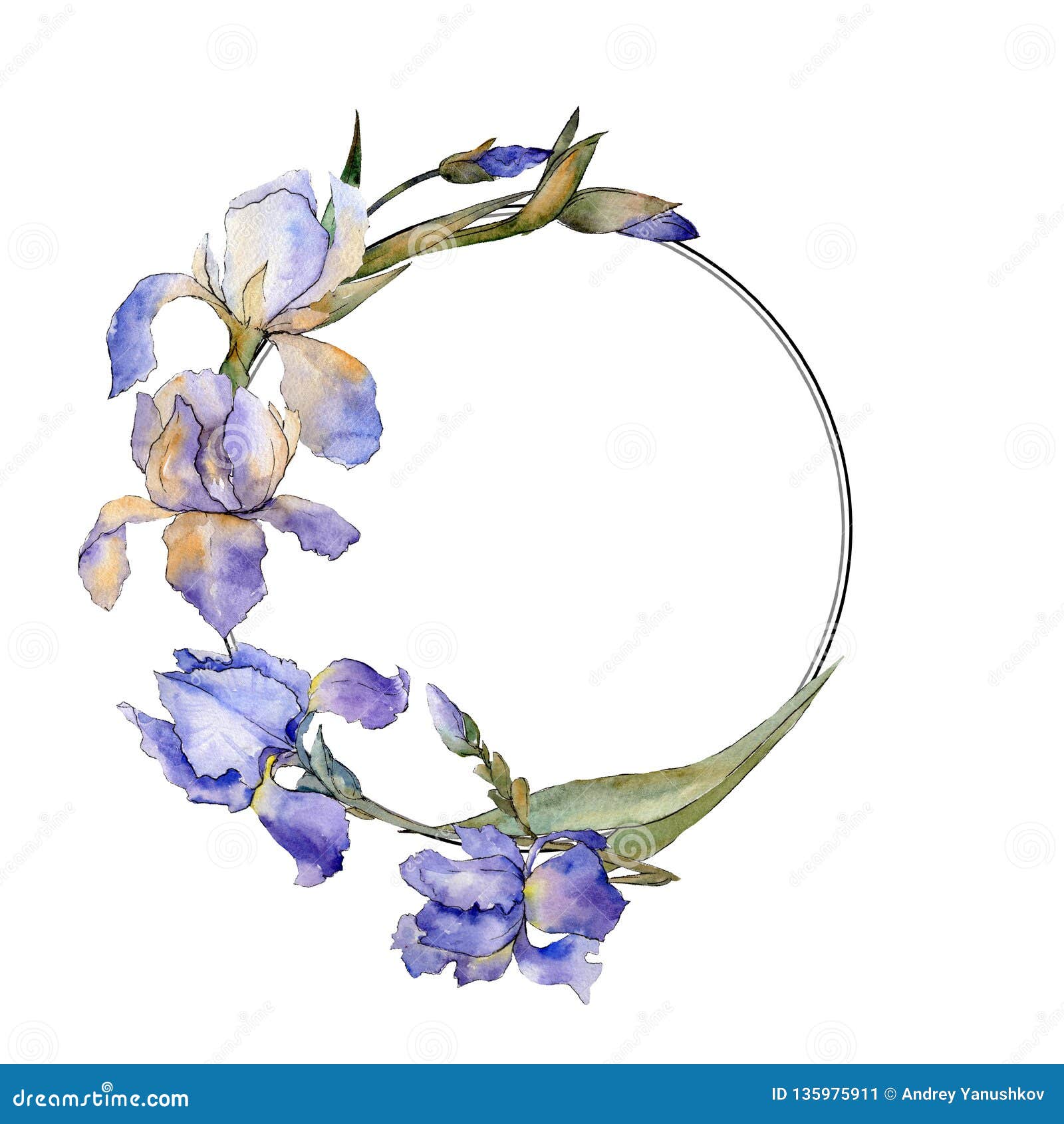 Iris Flower Frame Purple Stock Illustrations – 18 Iris Flower ...