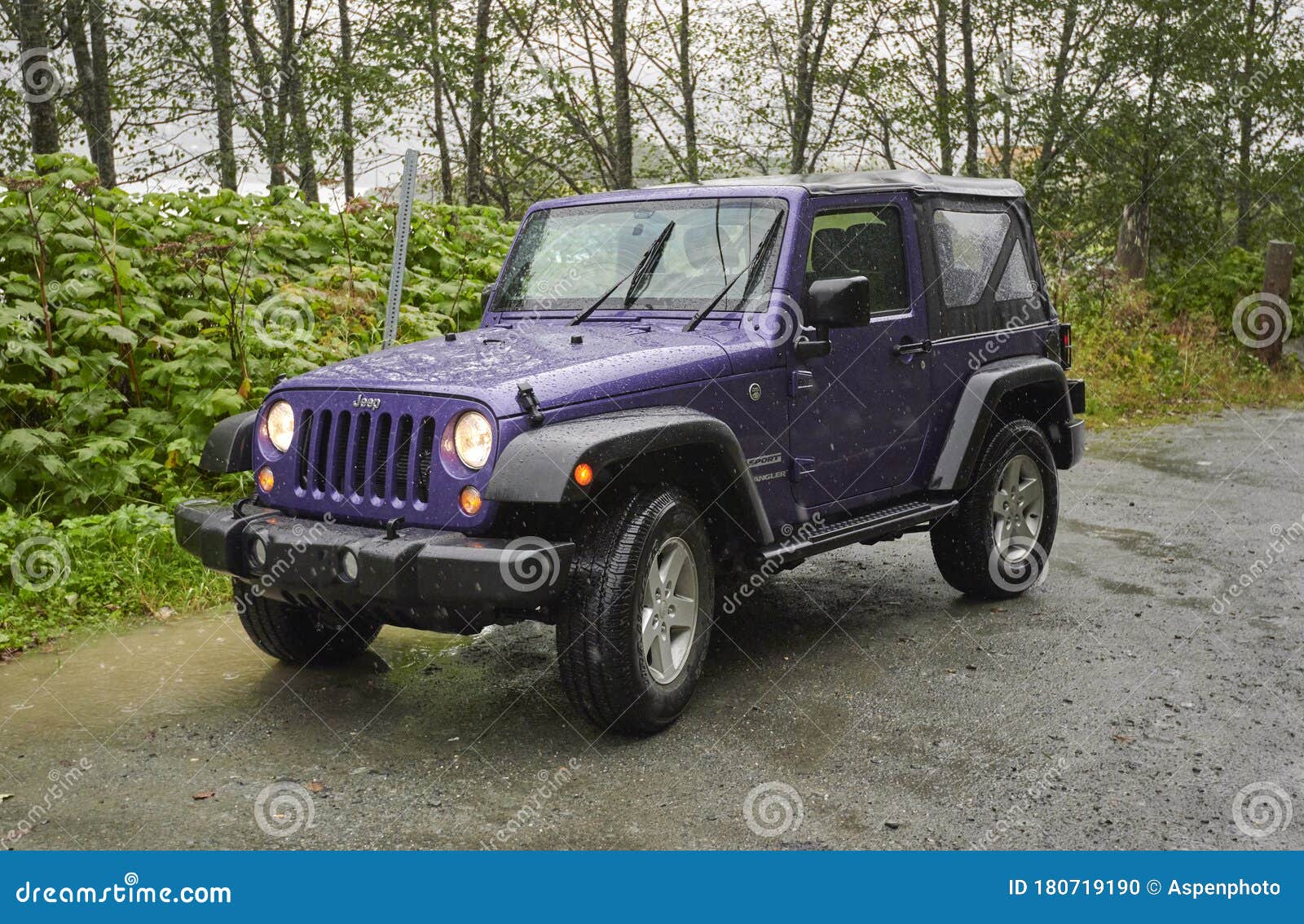 Purple Jeep Wrangler Parked in Rain on Roadside Turnout Editorial Image -  Image of nature, jeep: 180719190