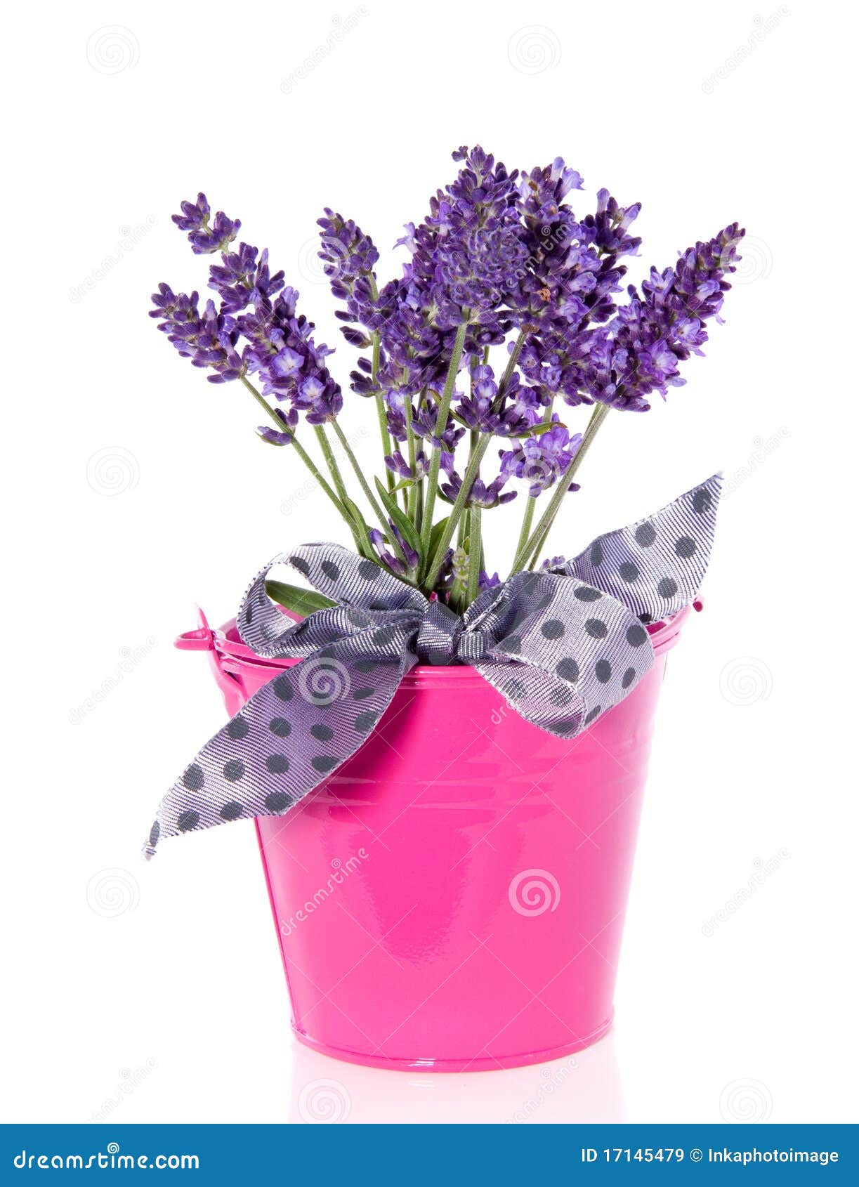 Purple Lavender in a Pink Bucket Stock Image Image of bouquet, bloom