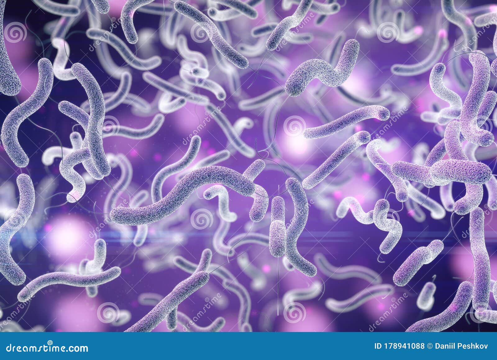 Purple Micro Bacterium Organisms Stock Illustration - Illustration of ...