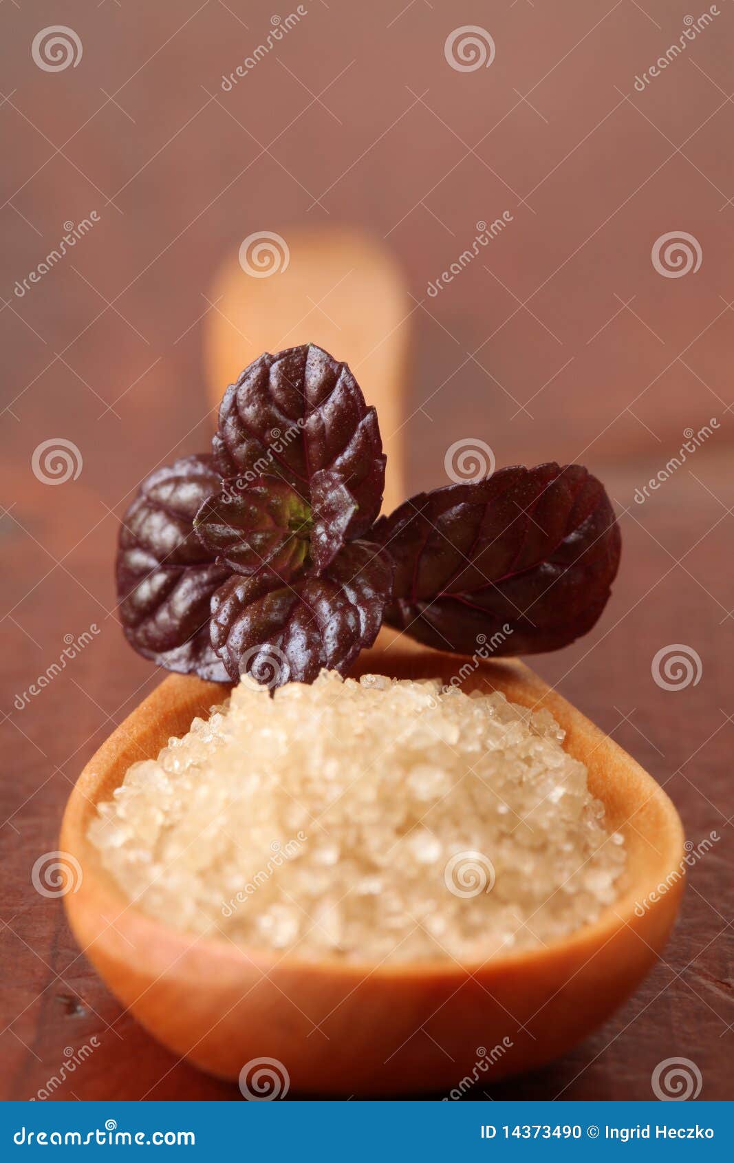 Purple mint stock photo. Image of closeup, fresh, cane 14373490