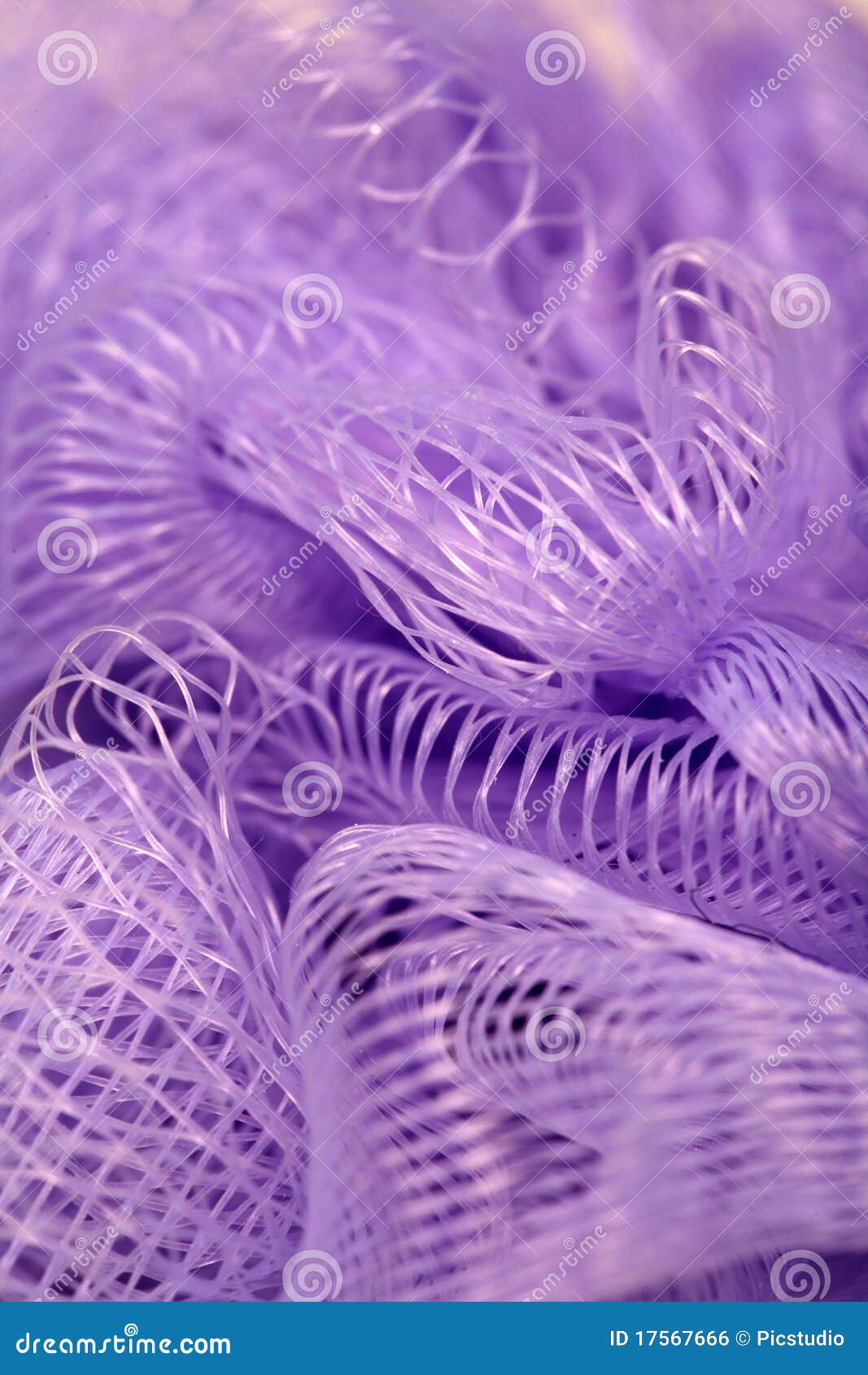 purple nylon net