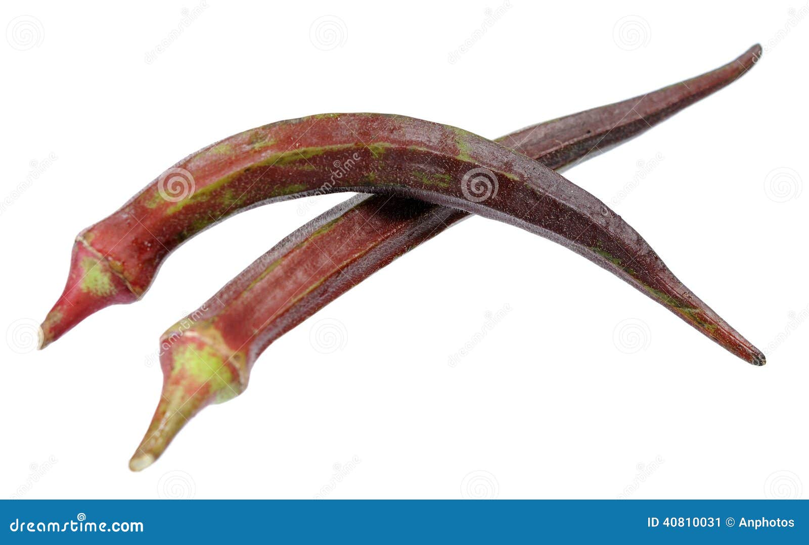 purple okra purple okra