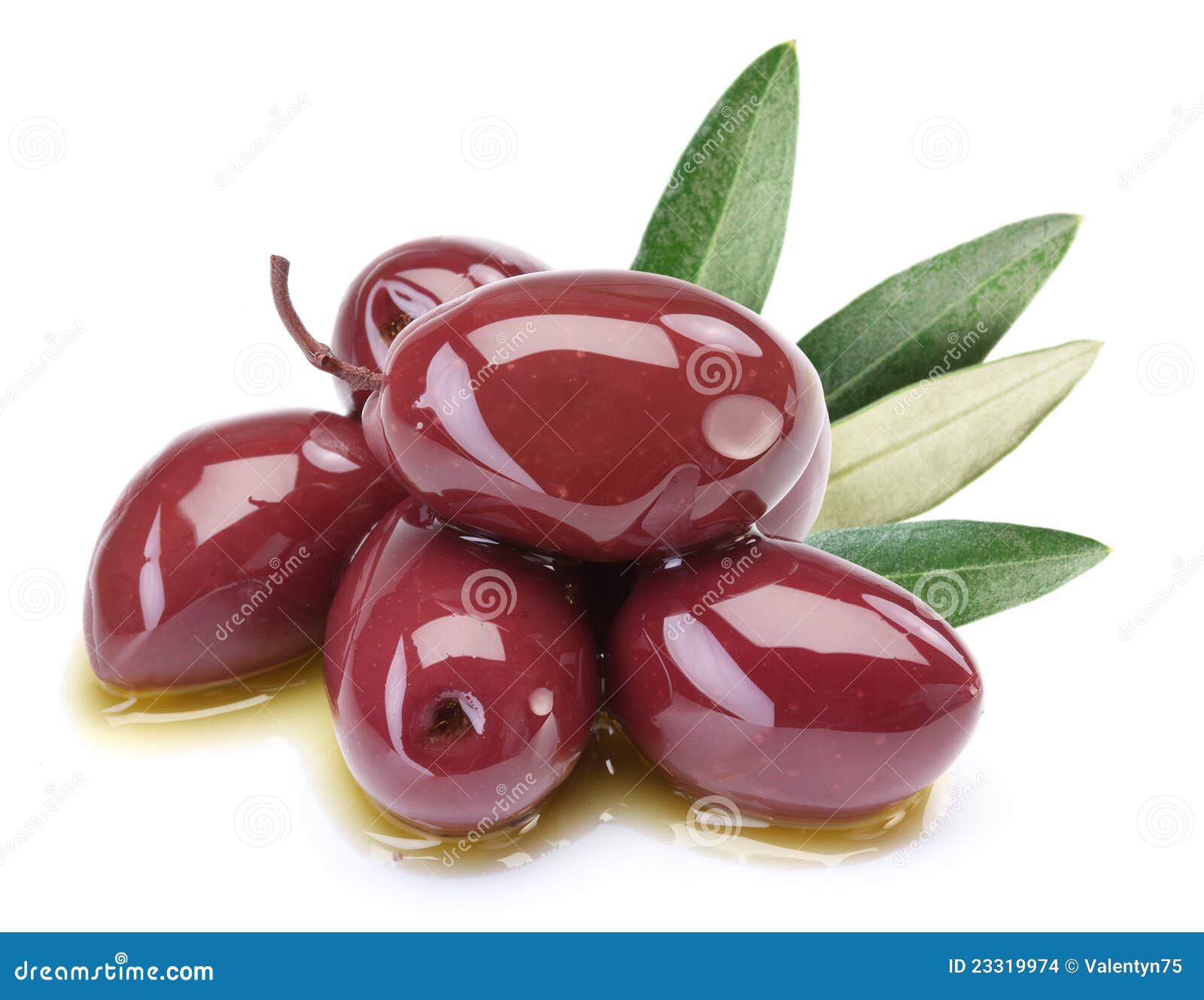 Purple Olives in Oil with Leaves Stock Photo Image of agriculture