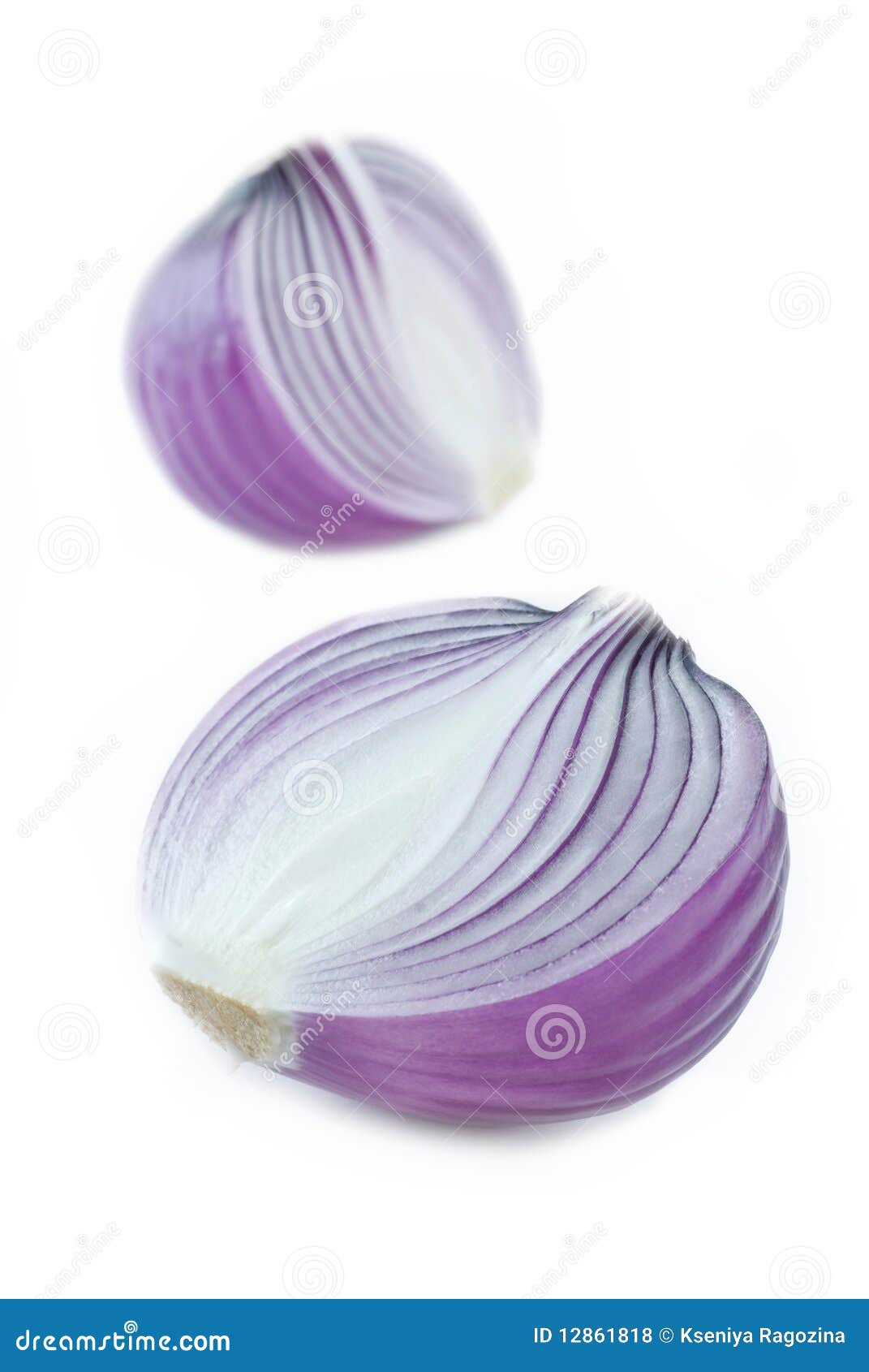 Purple onion bulb stock photo. Image of bulb, culinary 12861818