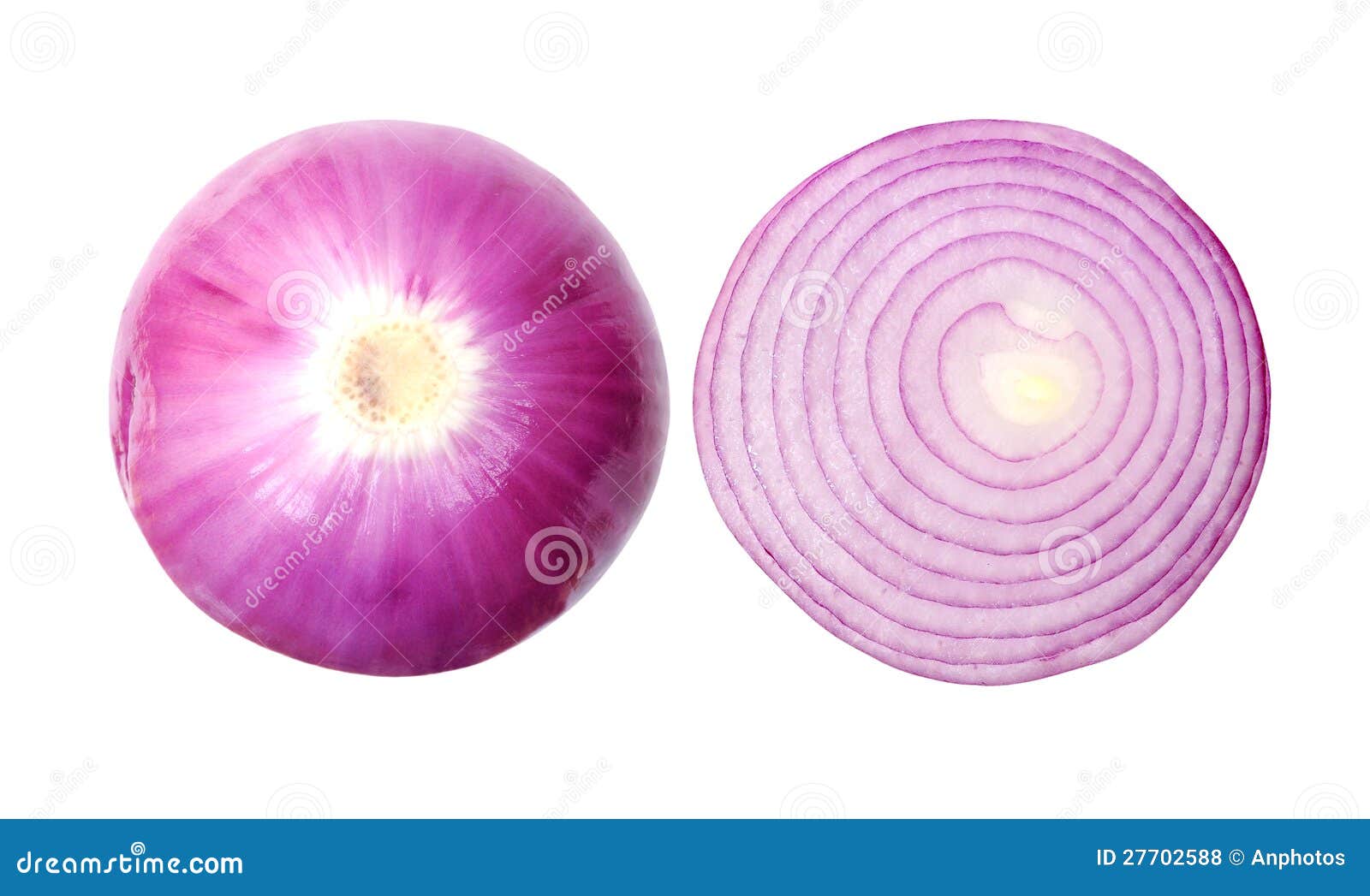 Purple onion isolated stock photo. Image of aroma, ingredient 27702588