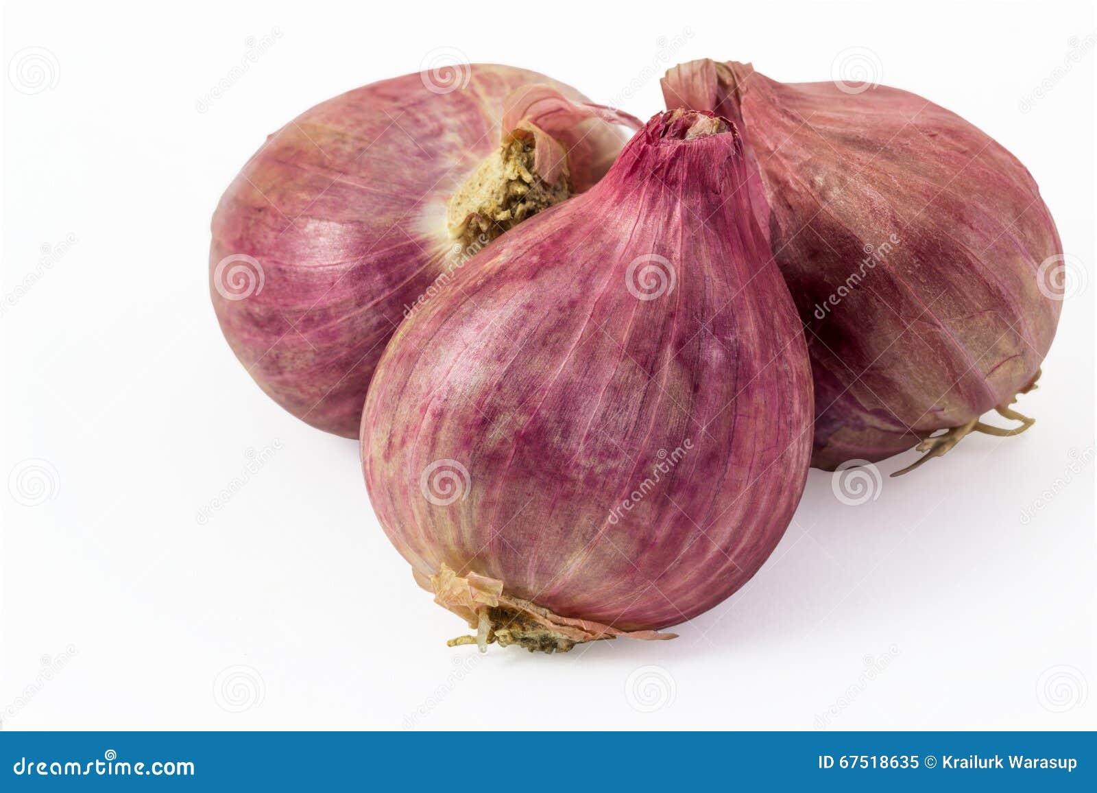 Purple onions stock image. Image of spicy, ingredient 67518635