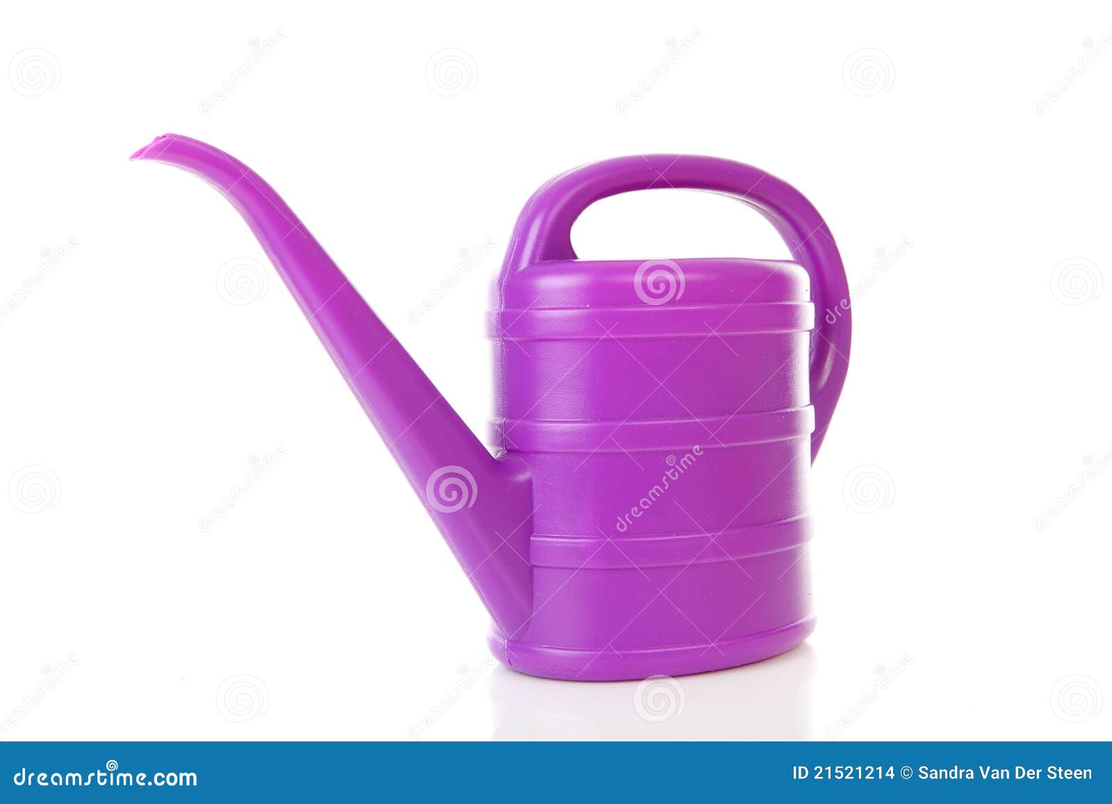 Purple Plastic Watering Can Stock Photo Image of equipment, tool