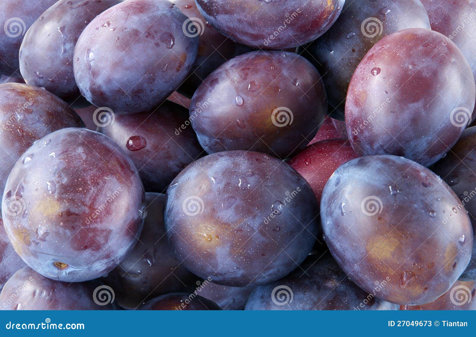 Purple plums stock image. Image of edible, meal, health 27049673