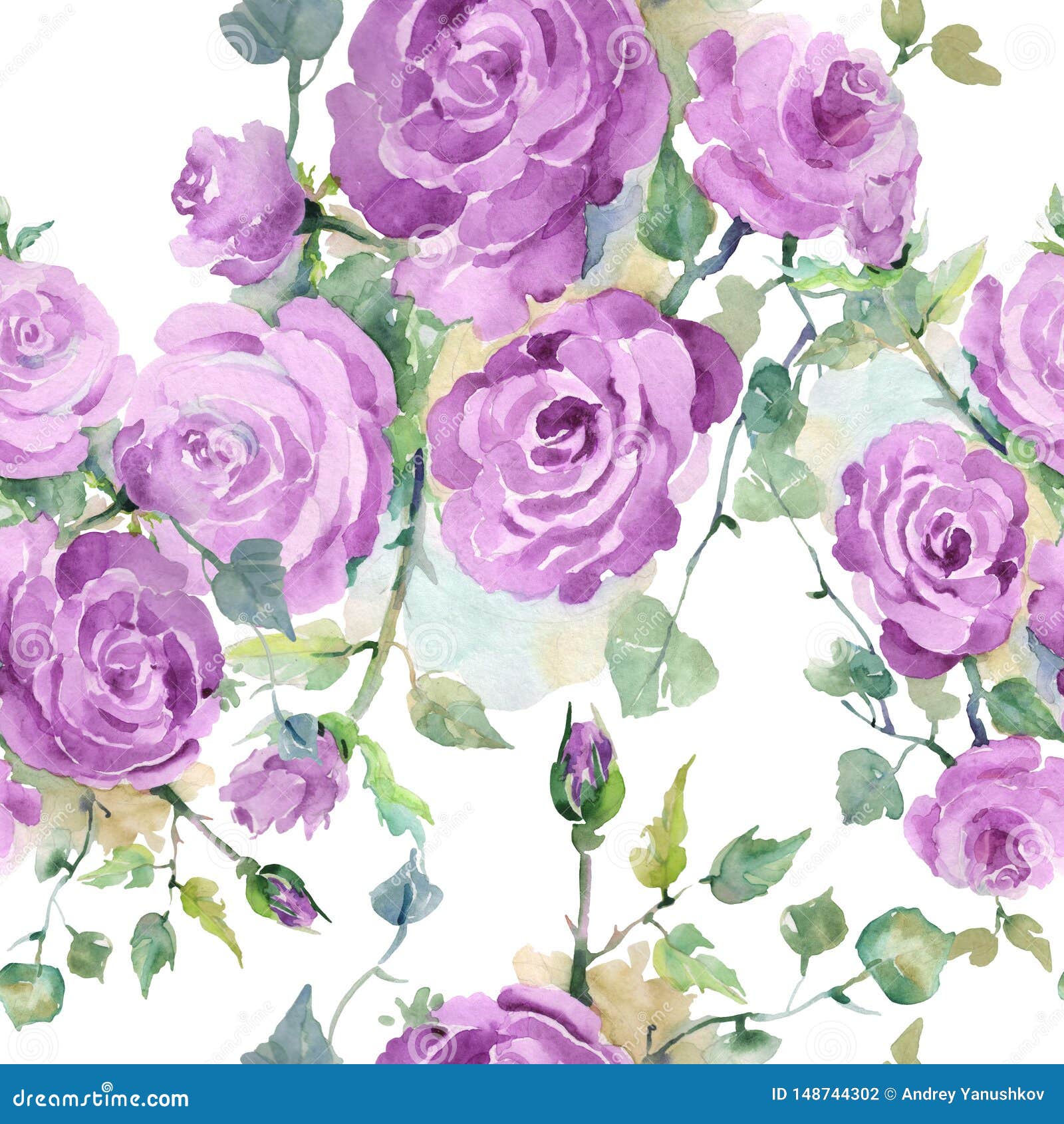Download Purple Rose Bouquet Floral Botanical Flowers. Watercolor ...
