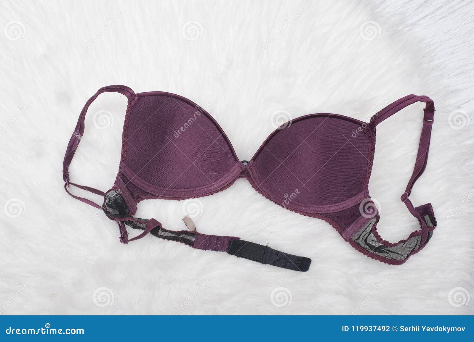 Purple Satin Bra Inside on the White Fur. Fashion Concept Stock Photo -  Image of purple, composition: 119937492