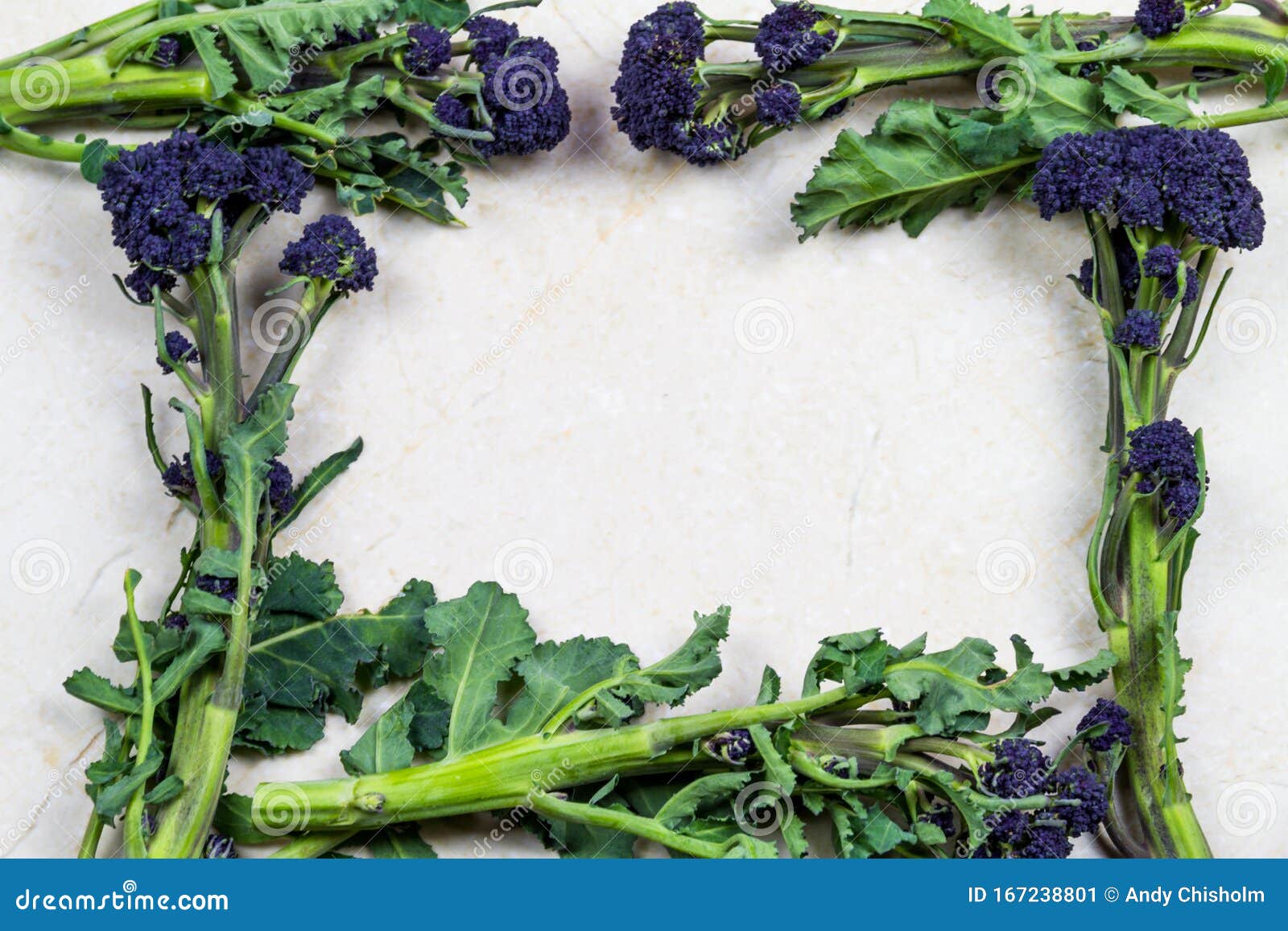 purple sprouting broccoli forming a frame background, texture