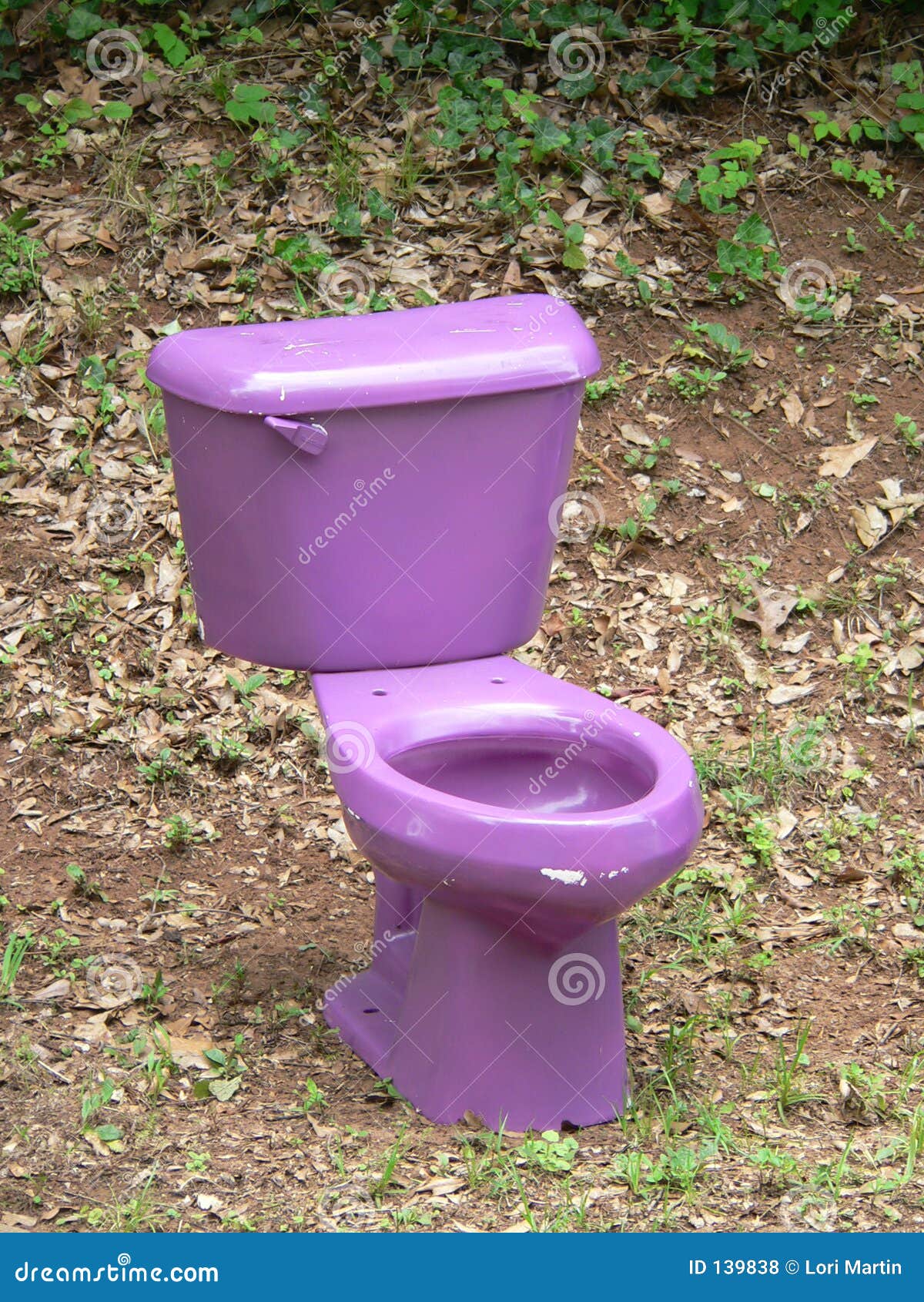 Purple Toilet Seat