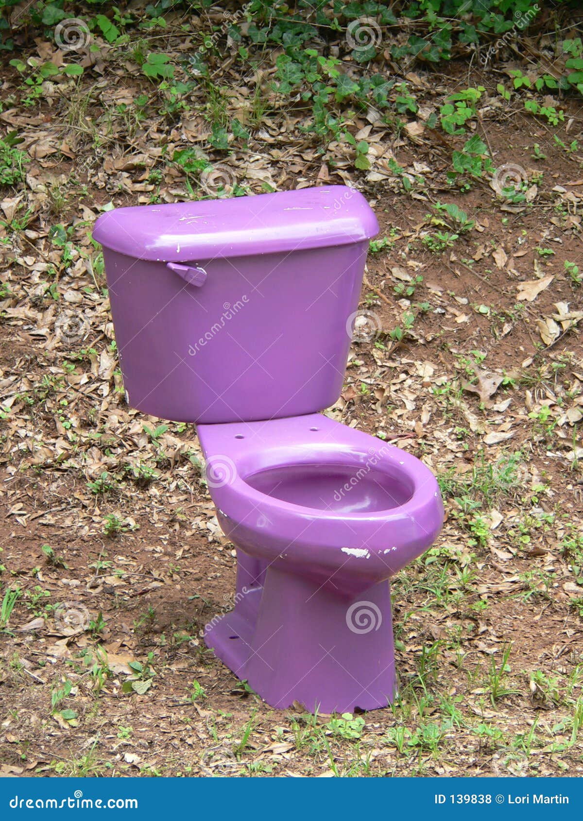 purple toilet seat