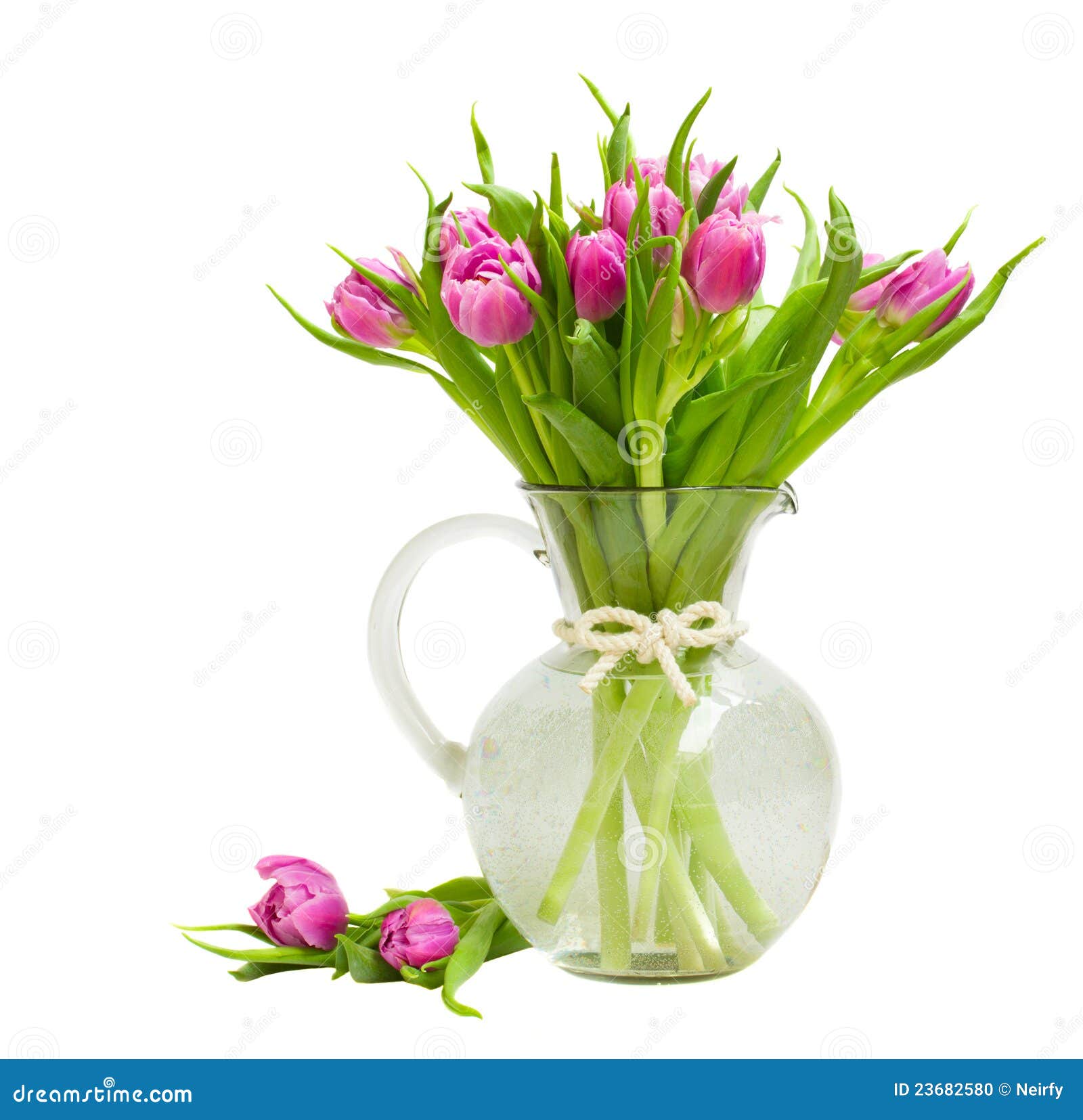 Purple tulips bouquet stock photo. Image of copy, flora 23682580