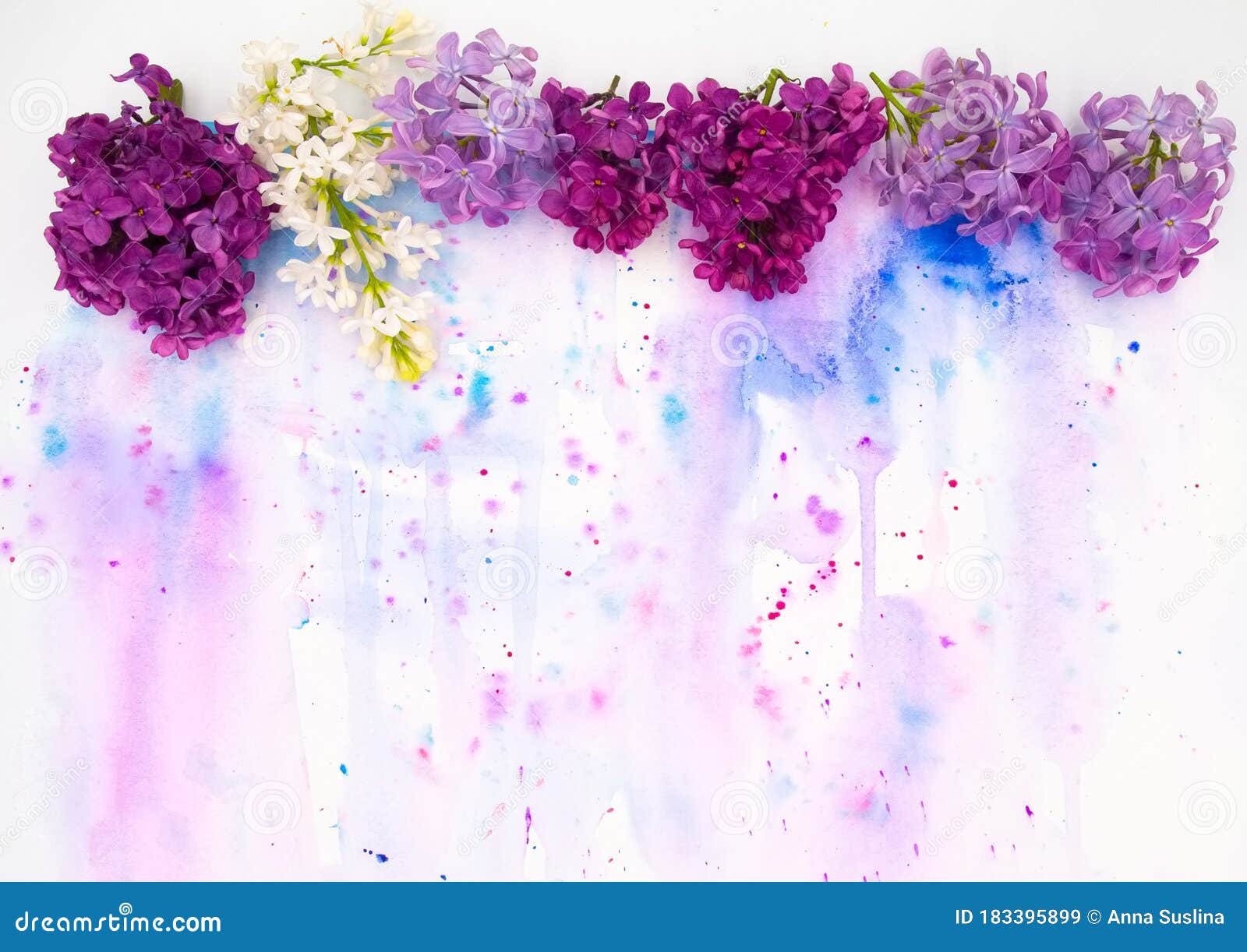 Purple Violet Lilac Spring Flowers and Hand Painted Watercolor Blot Spot on  White Background. A4 Paper Size Border Frame Photo Stock Image - Image of  copy, invitation: 183395899
