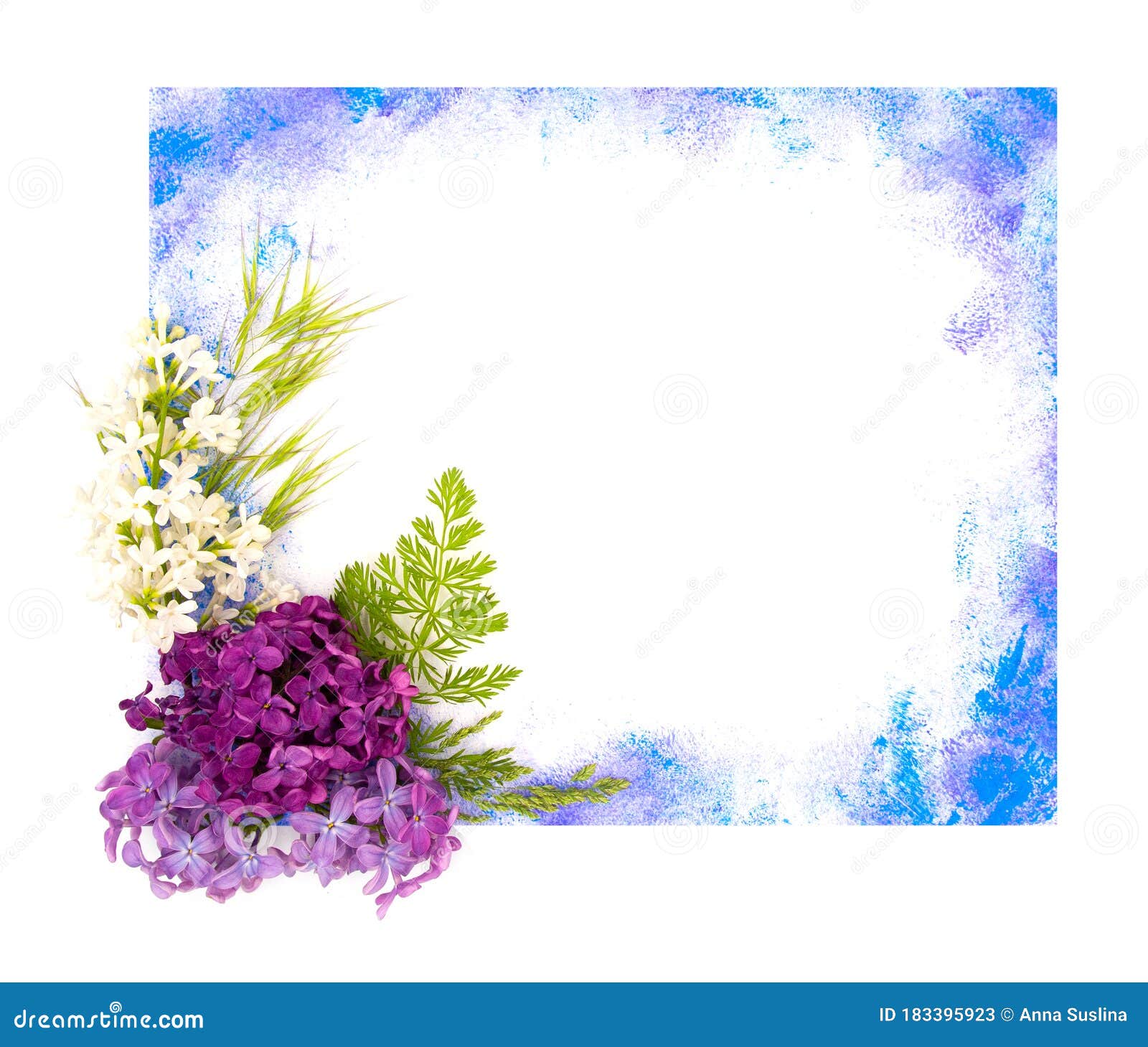 Purple Violet Lilac Spring Flowers and Hand Painted Watercolor Blot Spot on  White Background. A4 Paper Size Border Frame Photo Stock Image - Image of  bright, background: 183395923