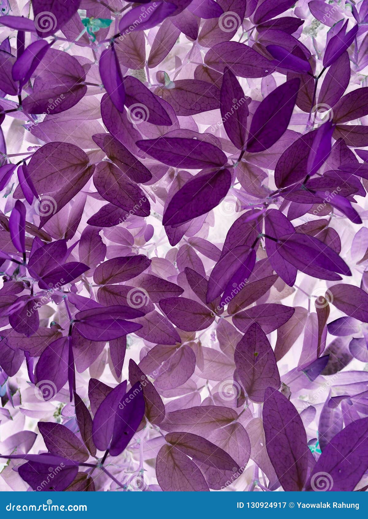 Purple or Violet Texture Pattern Background, Violet Ultra Concept Stock ...