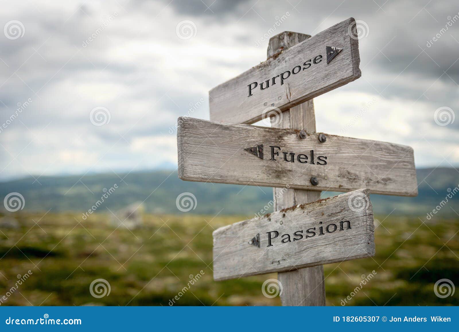 Purpose Fuels Passion Engraved Old Wooden Signpost Outdoors in Nature Stock Image - Image of engraved, nature: 182605307