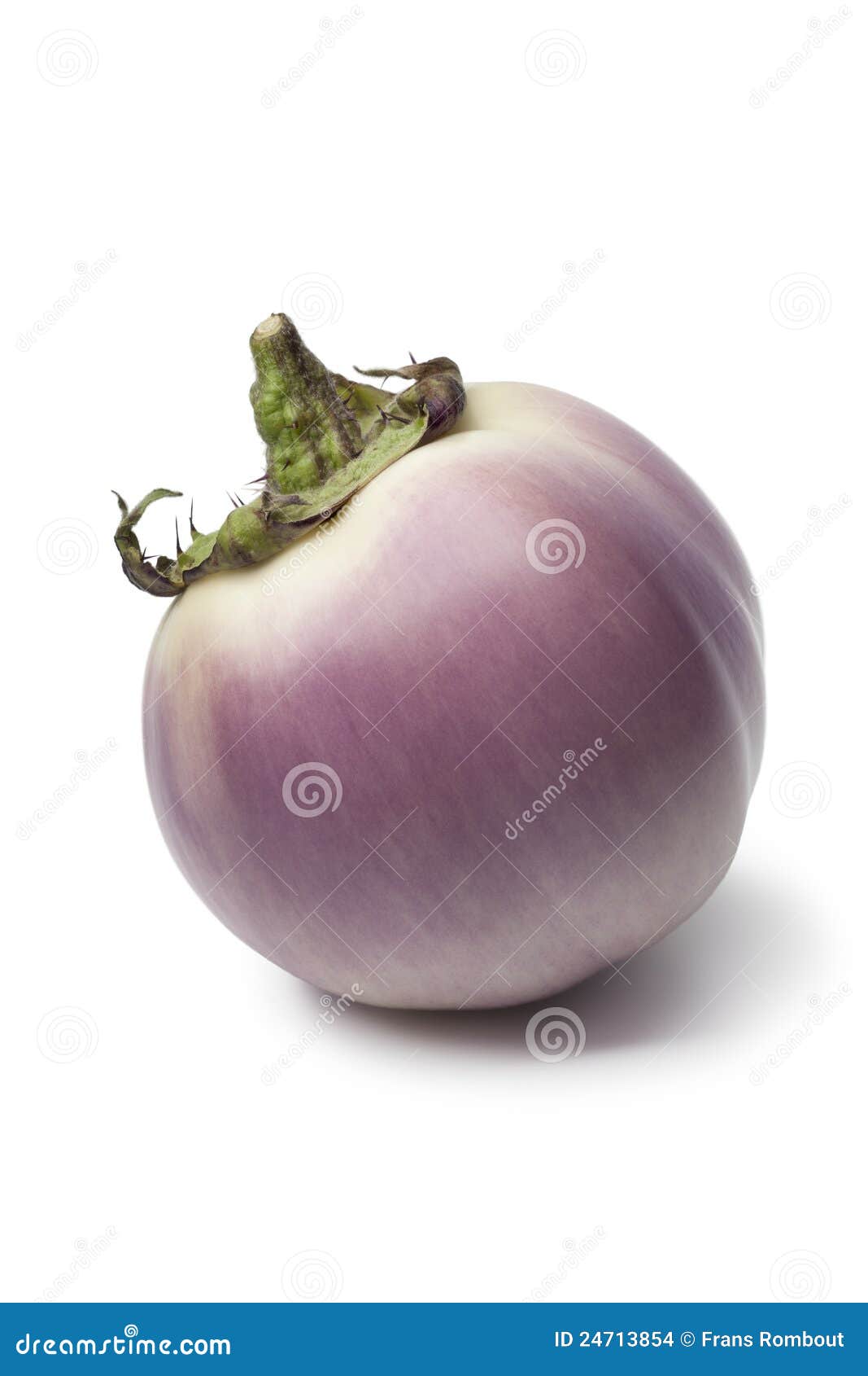 purpura eggplant