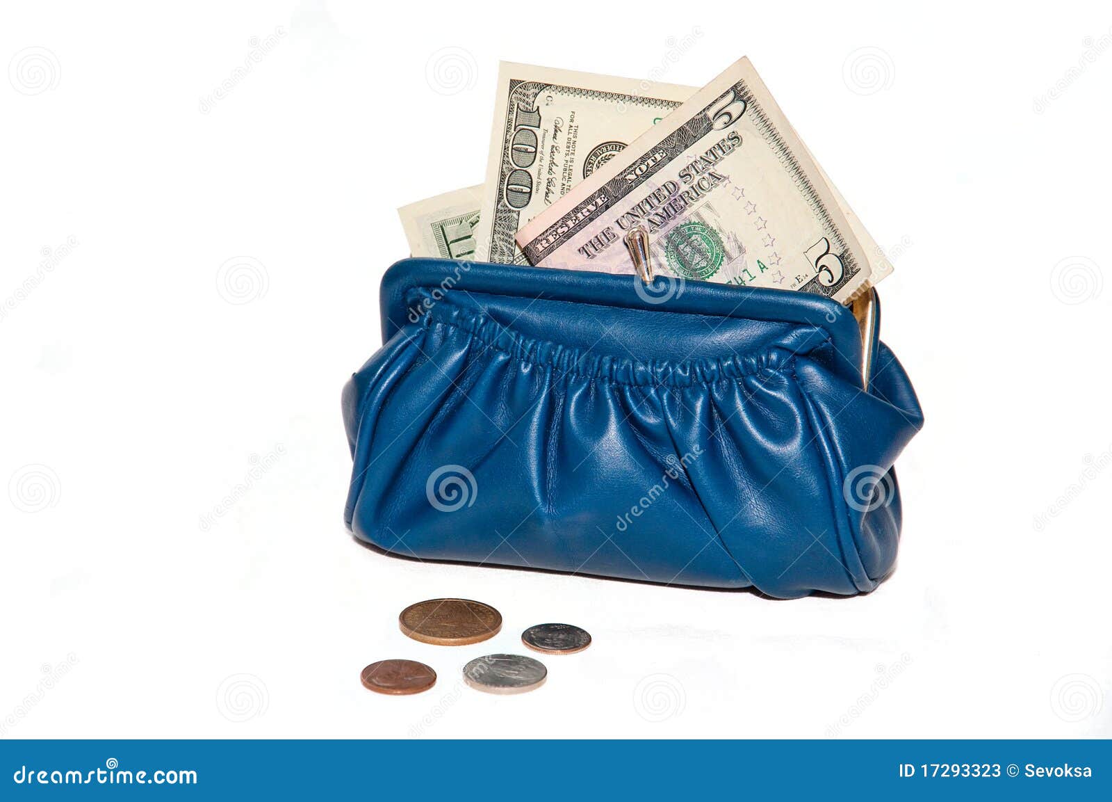 Fair Female Hand Holding Brown Purse with 200 Namibian Dollar Notes, Hand  Removing Money Out of Purse Isolated on White Stock Photo - Image of  income, economy: 251493232