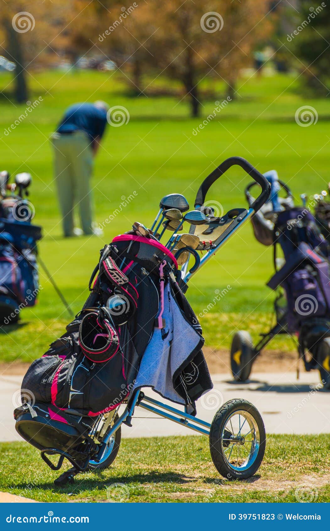Update 74+ pull carts for golf bags best in.duhocakina