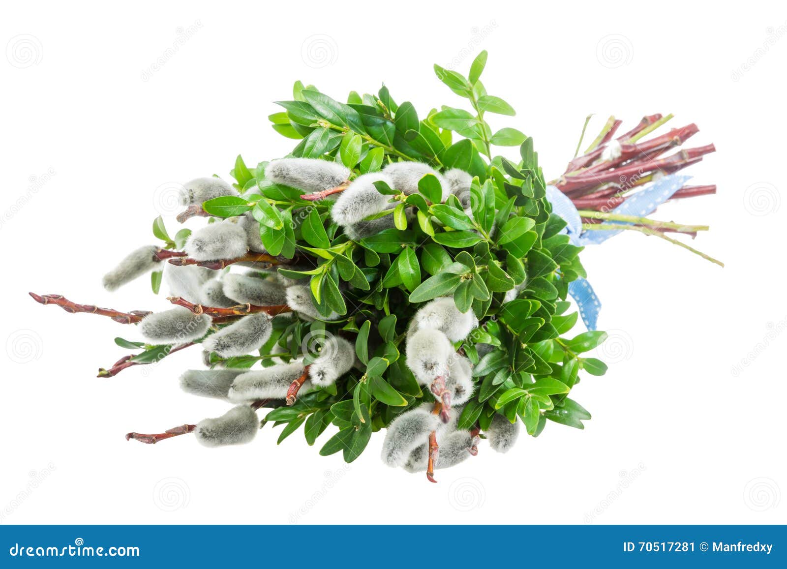 Willow Bunch For Palm Sunday Stock Image Image Of Twigs Twig 70517281