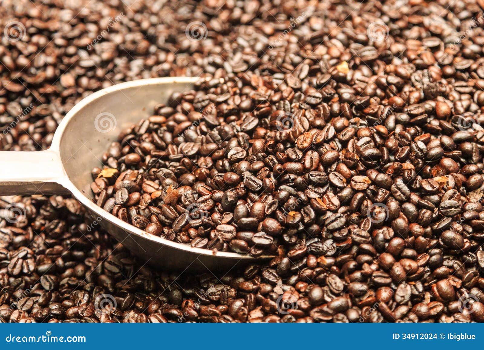Put coffee beans stock photo. Image of breakfast, grow 34912024