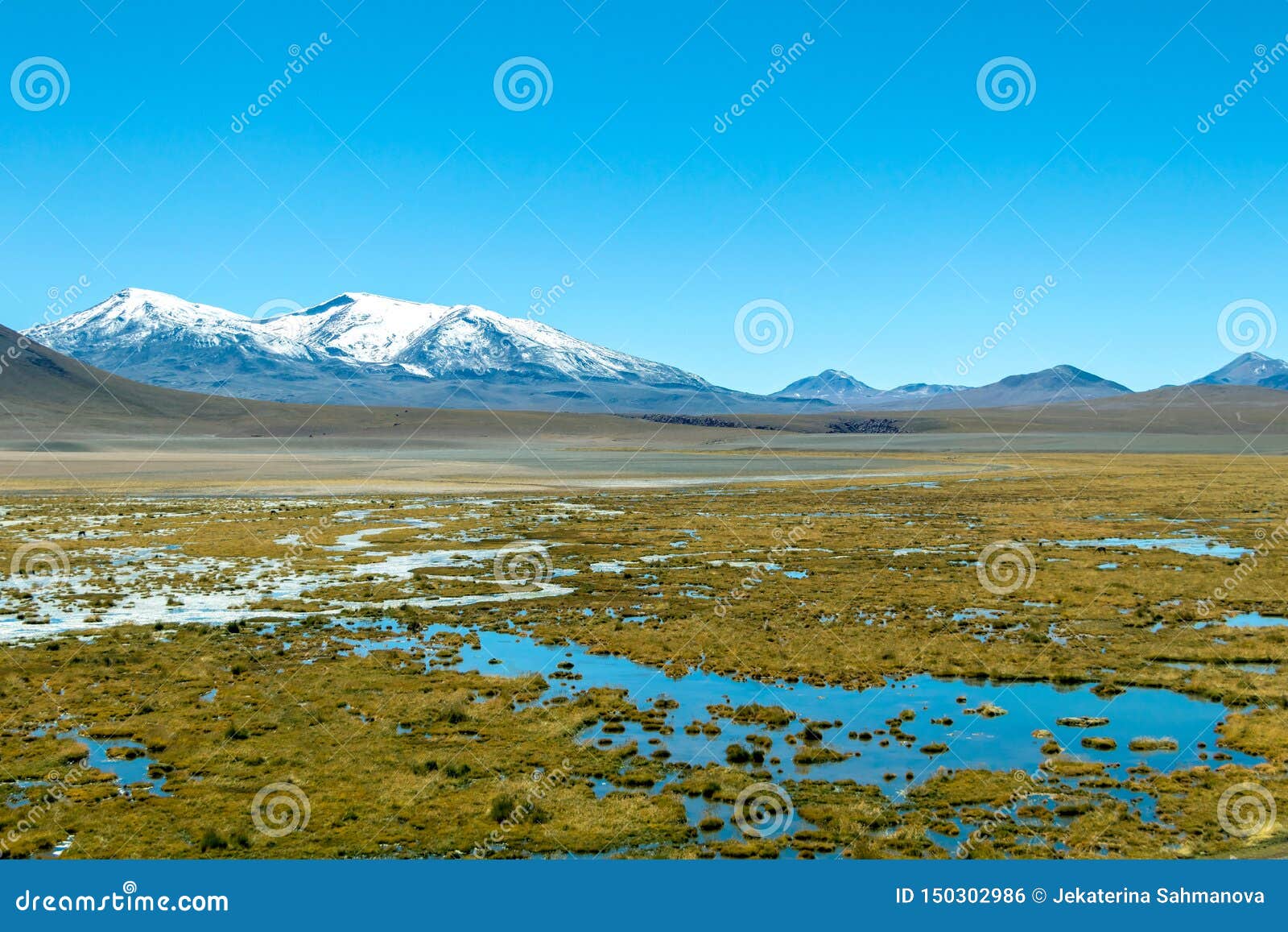 Putanarivier Vado Rio Putana, San Pedro De Atacama, De Atacama-Woestijn ...