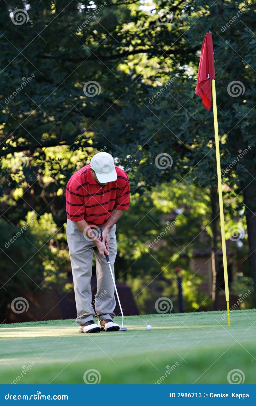 Putting on the Green stock image. Image of health, exercise 2986713